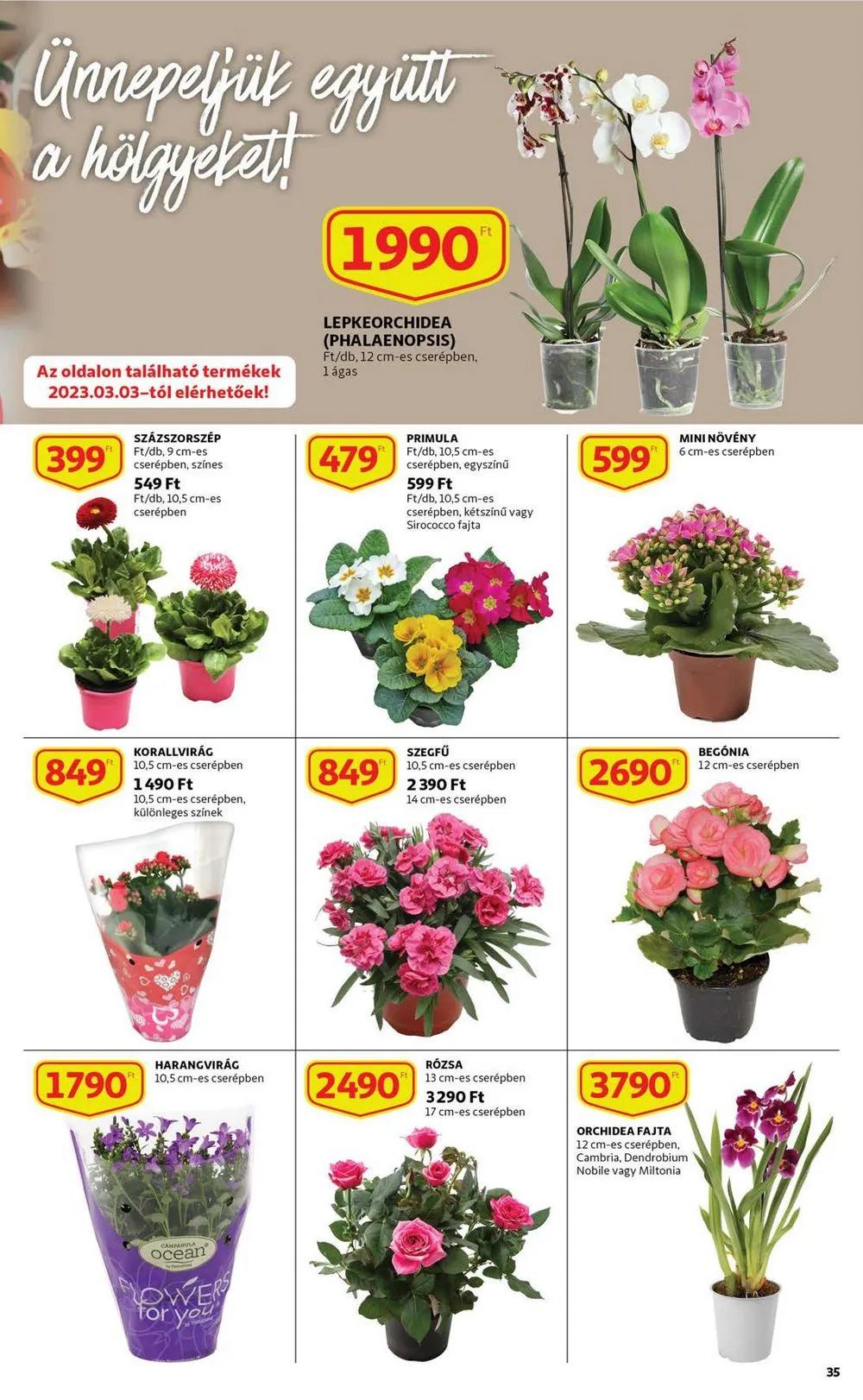 Auchan akciós újság 03.02–03.08 – 35. oldal