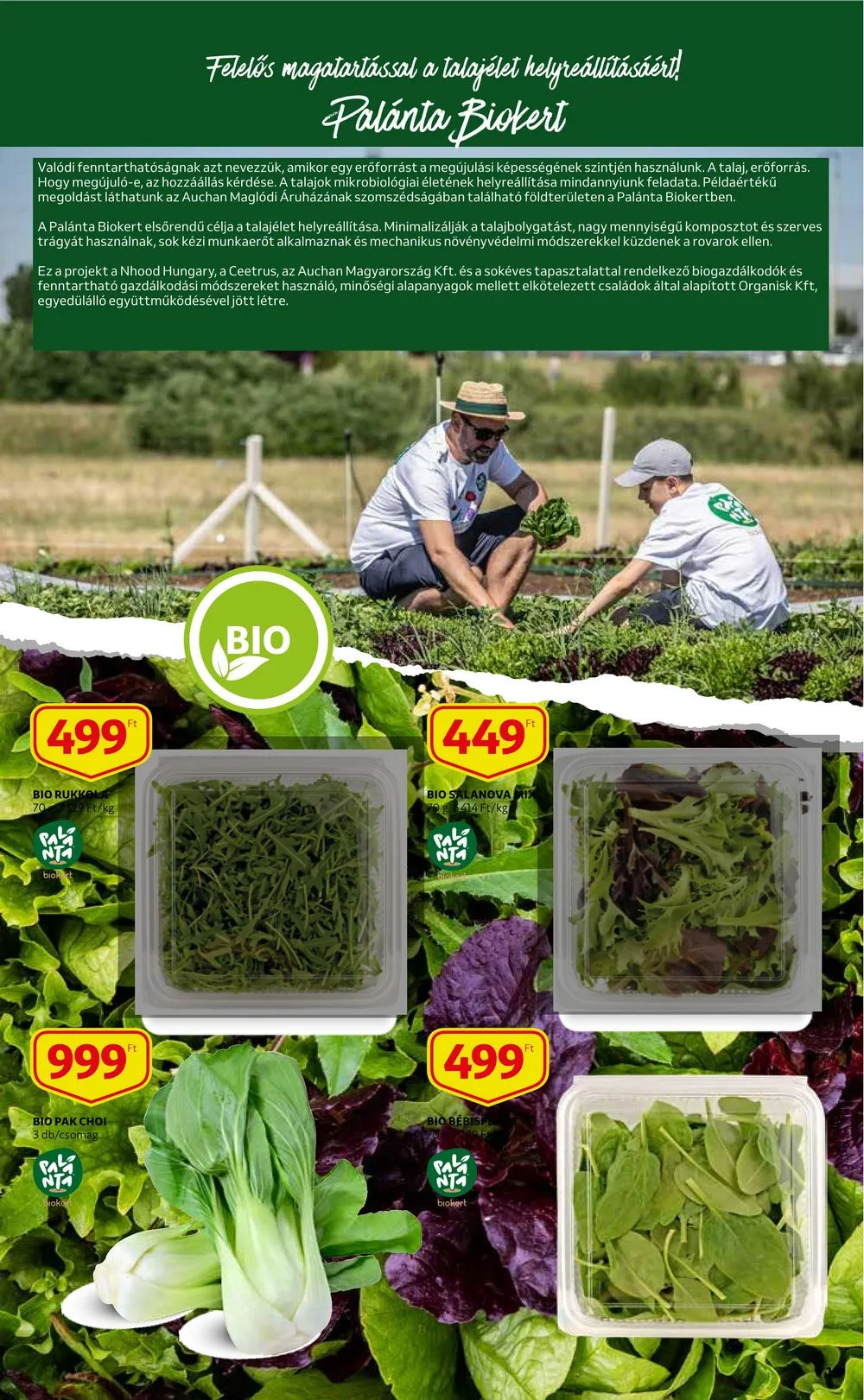 Auchan akciós újság 03.30–04.05 – 11. oldal