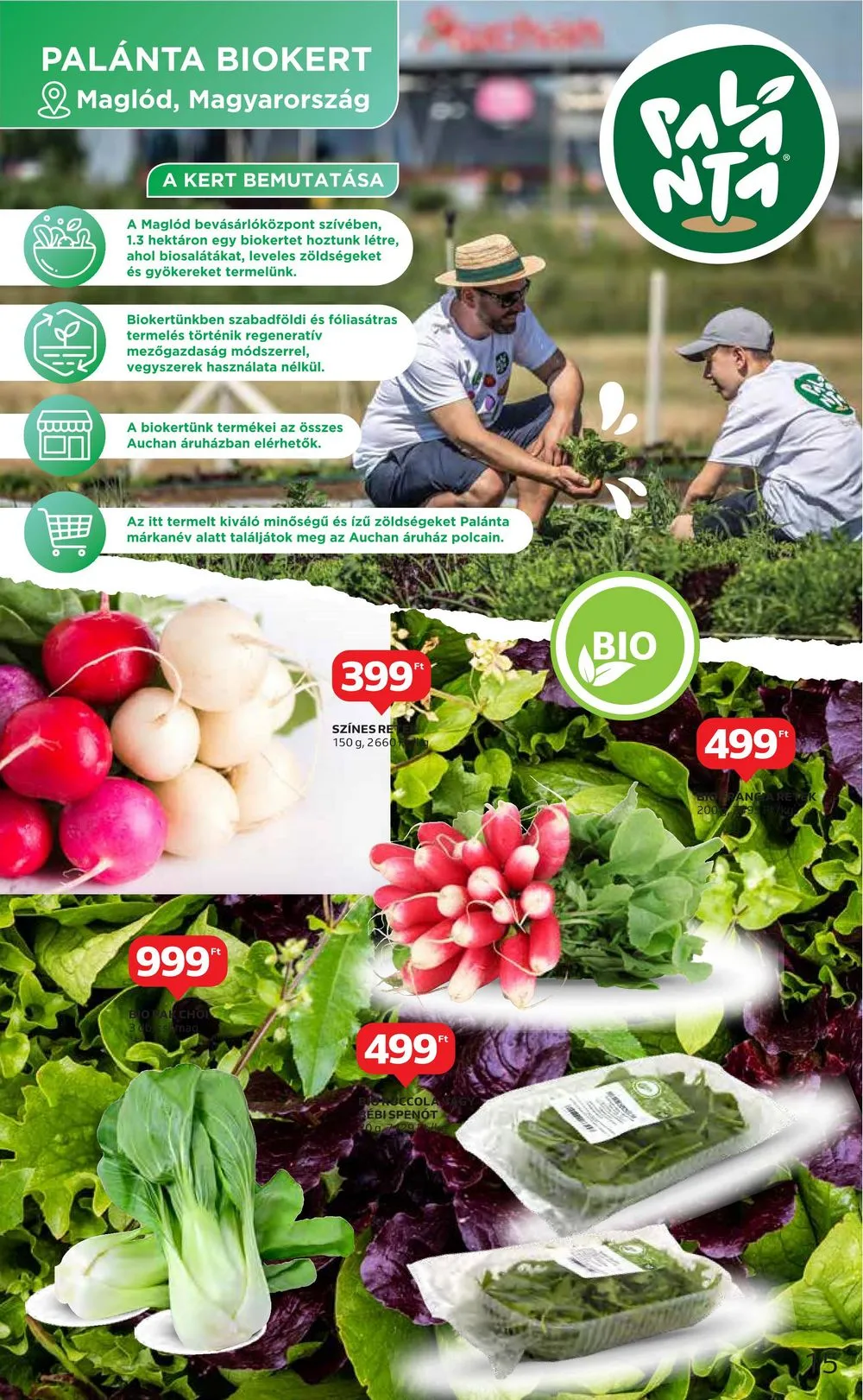 Auchan akciós újság 05.04–05.10 – 15. oldal