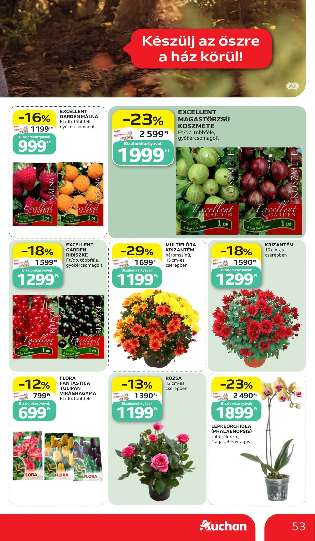 Auchan akciós újság Heti Hipermarket ajánlataink 10.15–10.21 – 53. oldal