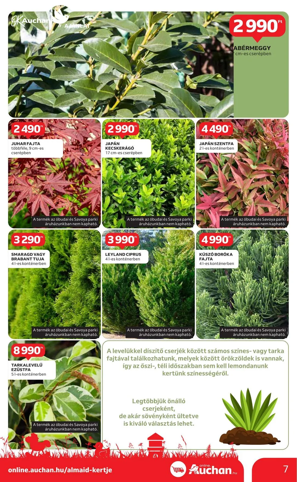 Auchan akciós újság Hipermarket Kert 04.04–04.24 – 7. oldal