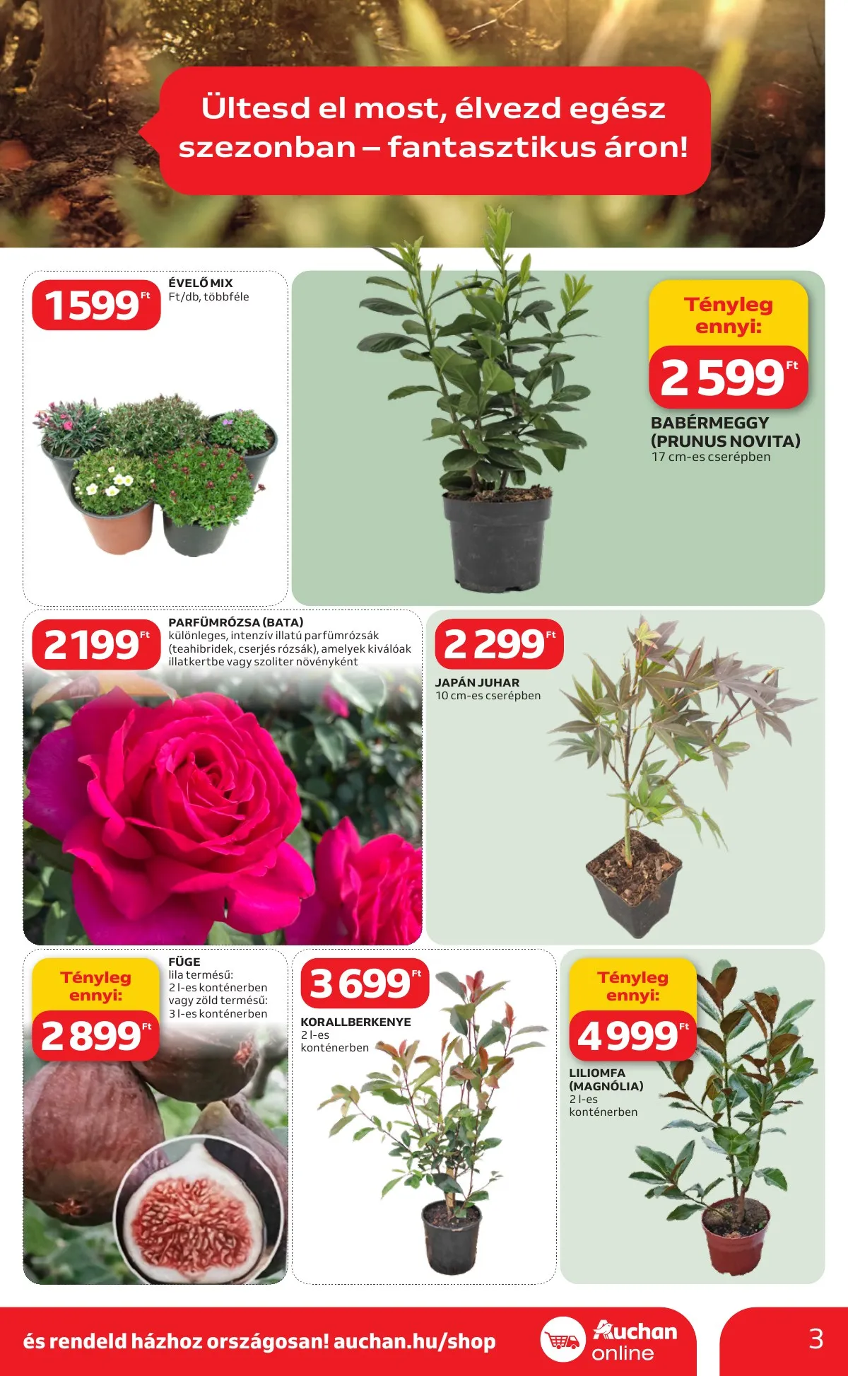 Auchan akciós újság Hipermarket Ki a szabadba 03.05–04.04 – 3. oldal