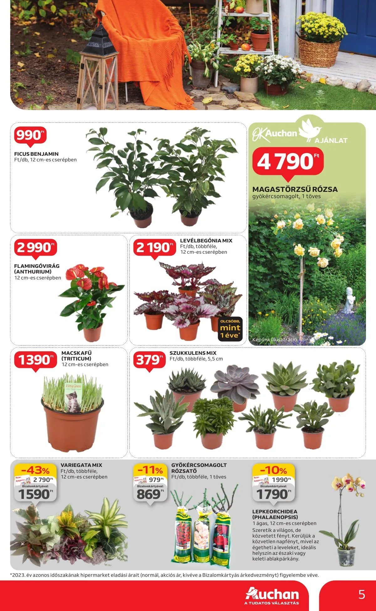 Auchan akciós újság Hipermarket őszi keszulodes 09.19–10.02 – 5. oldal