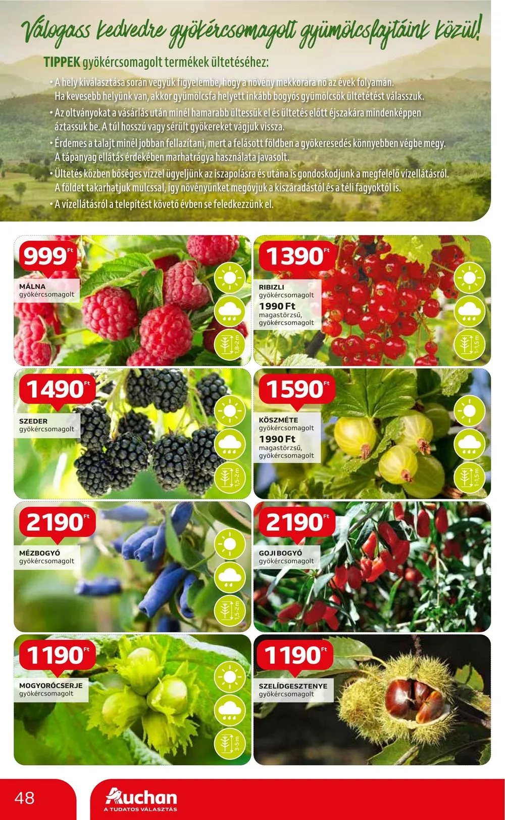 Auchan akciós újság Hipermarket 10.19–10.25 – 48. oldal