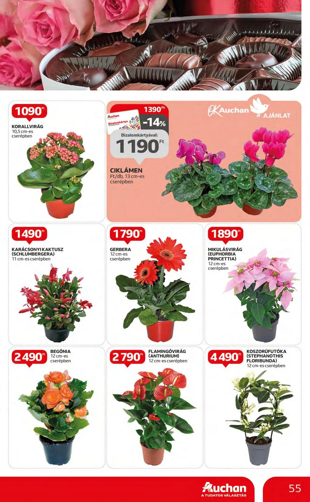 Auchan akciós újság Hipermarket 11.16–11.22 – 55. oldal