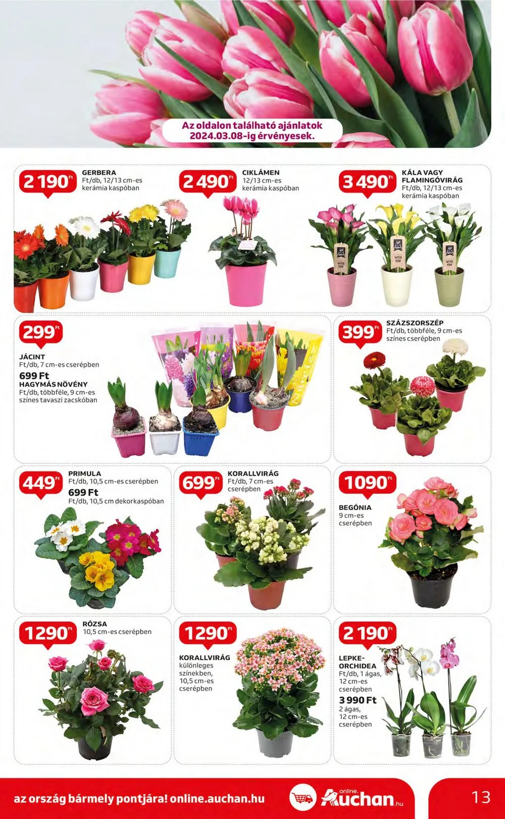 Auchan akciós újság Hipermarket 02.29–03.06 – 13. oldal