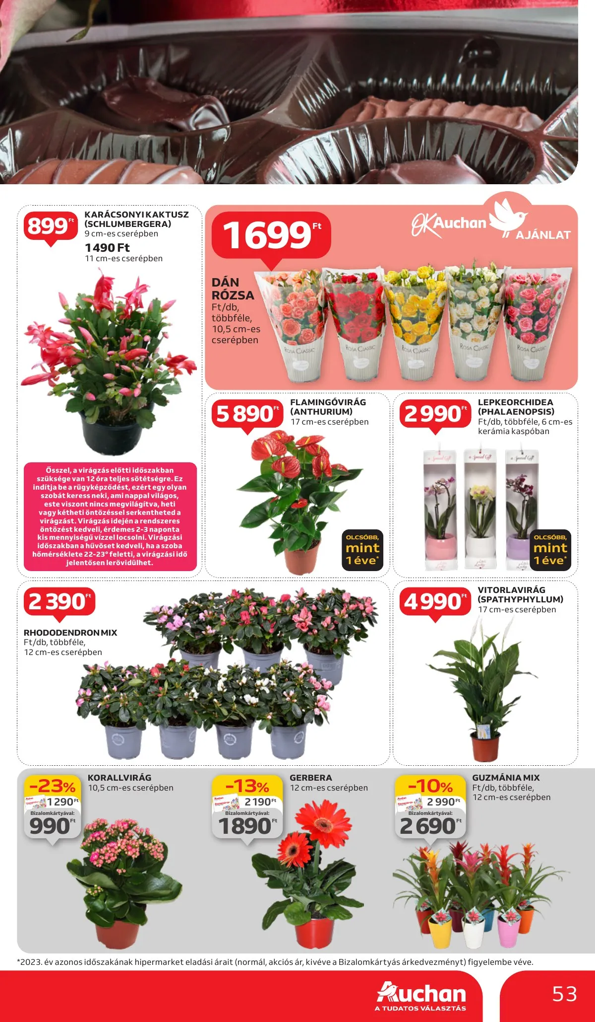 Auchan akciós újság Hipermarket 11.14–11.20 – 53. oldal