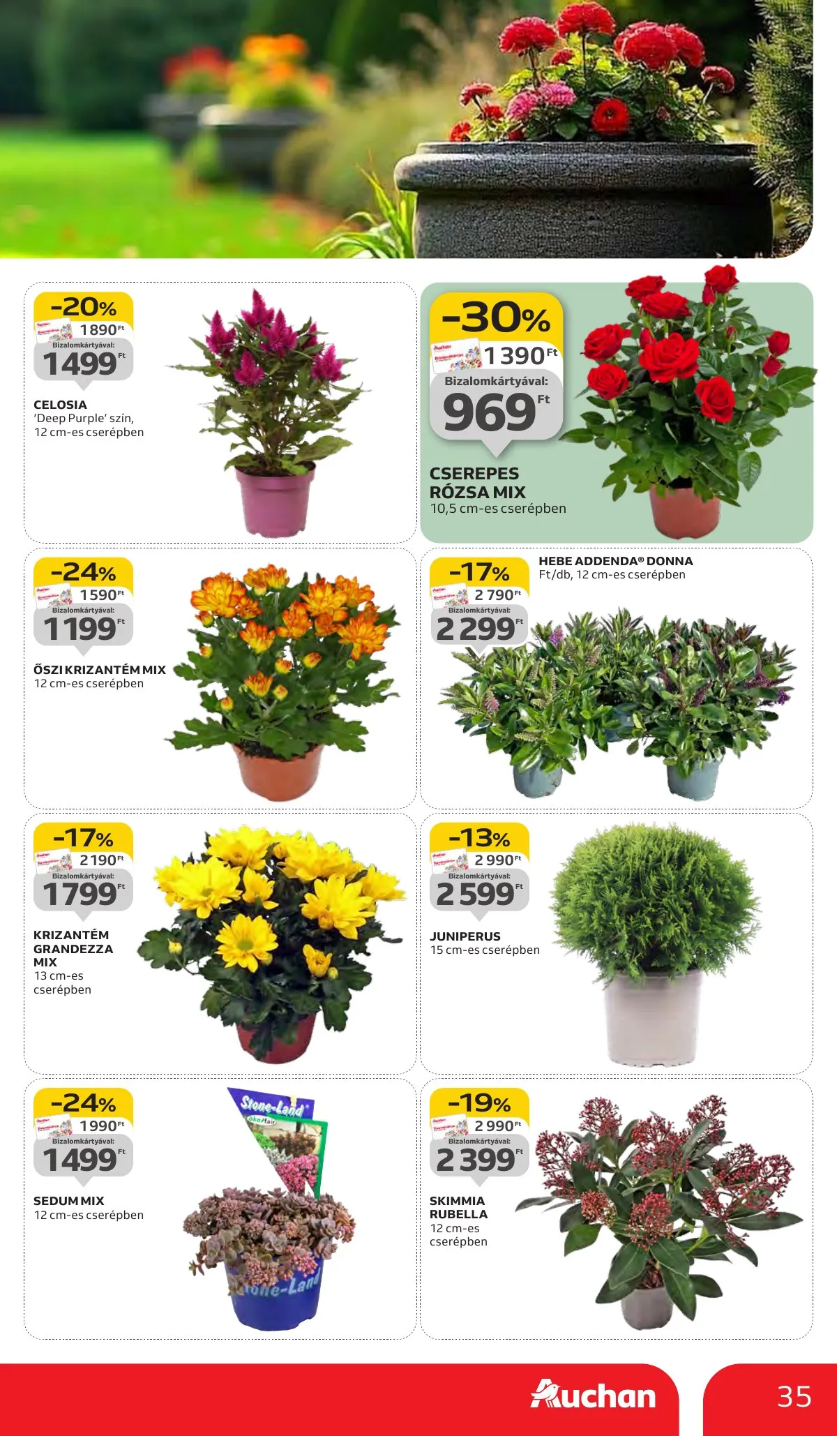 Auchan akciós újság Hipermarket 09.11–09.17 – 35. oldal