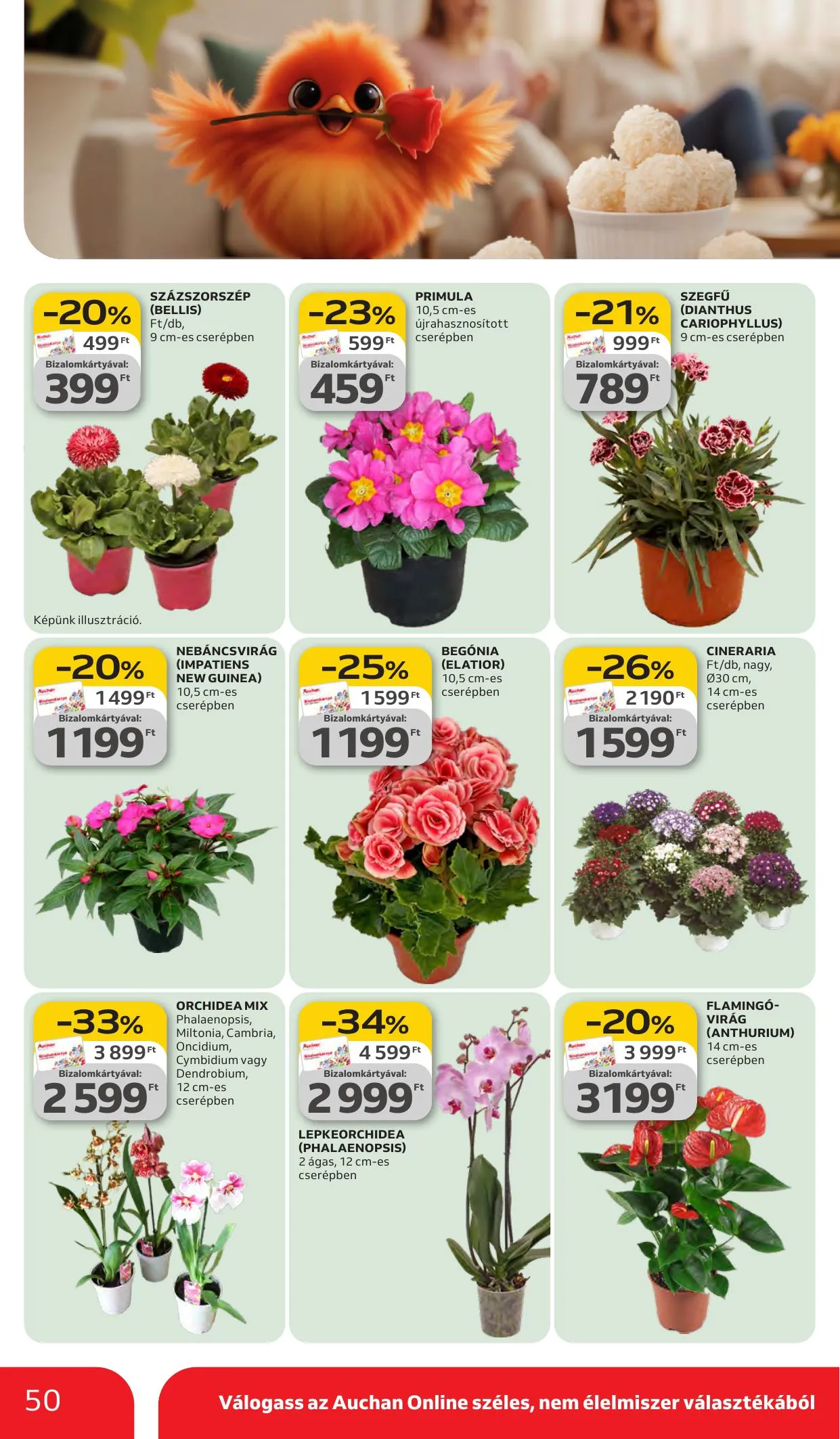 Auchan akciós újság Hipermarket 03.05–03.11 – 50. oldal