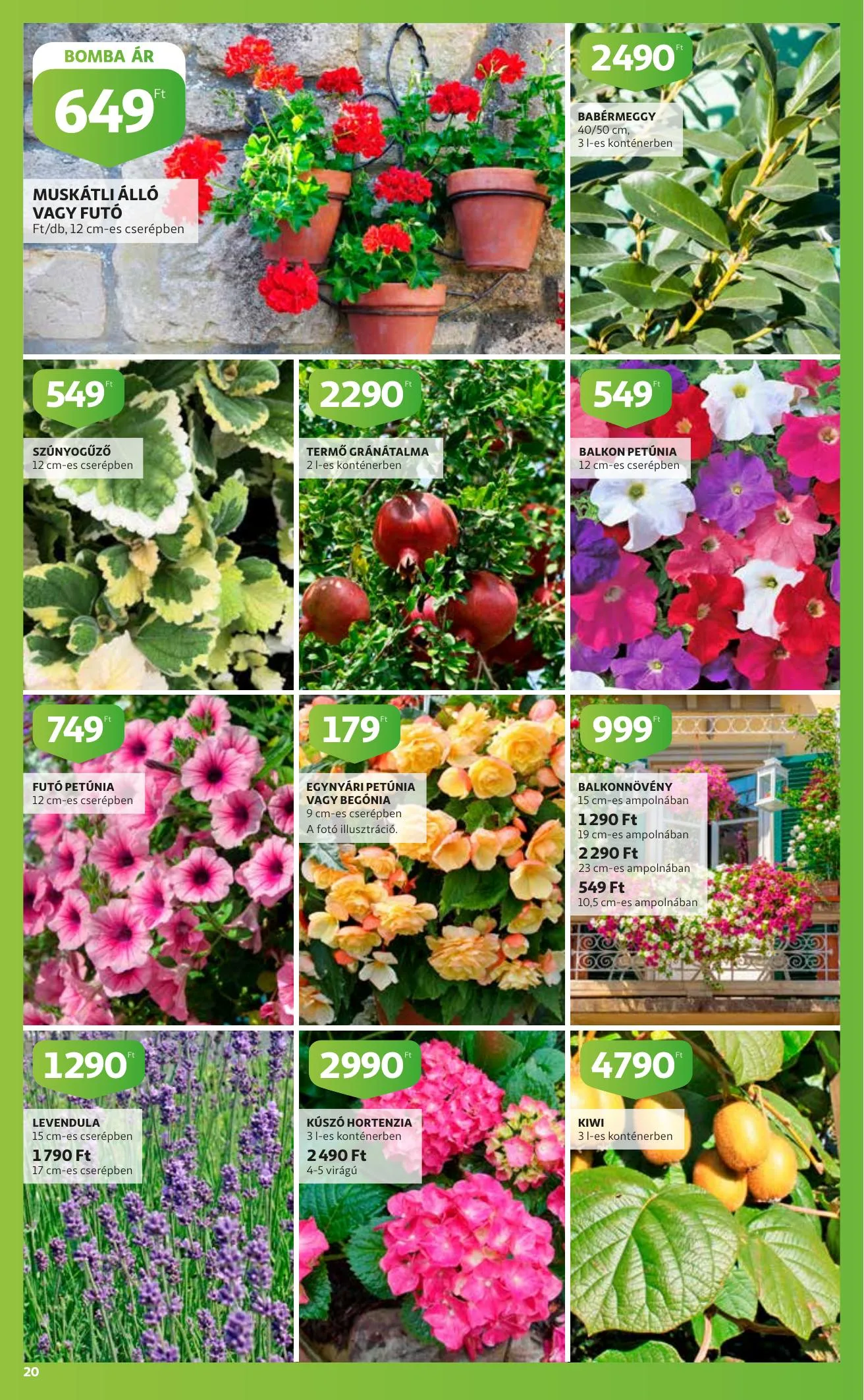 Auchan akciós újság Kert katalógus 04.22–05.05 – 20. oldal