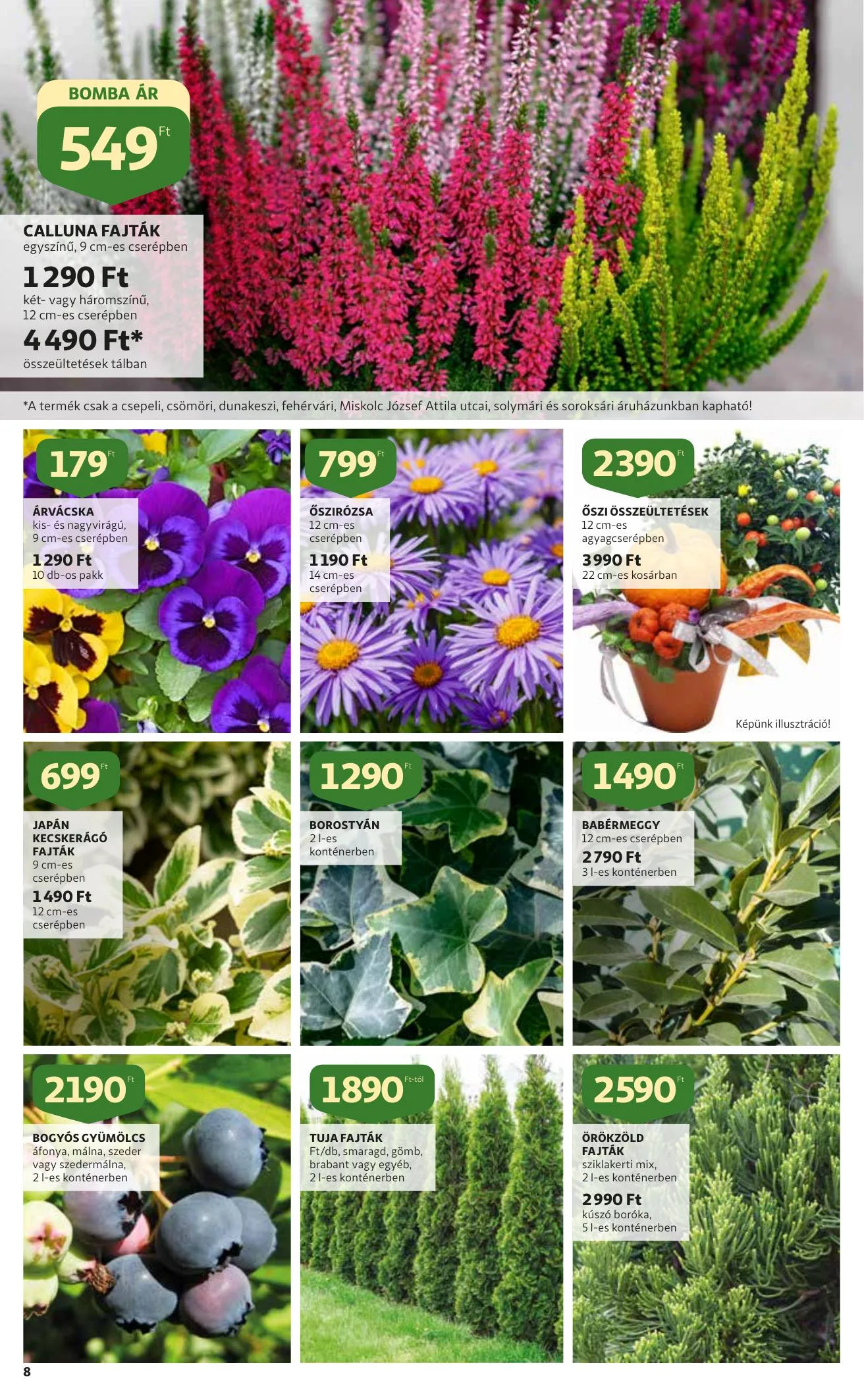 Auchan akciós újság Kert katalógus 09.16–09.29 – 8. oldal