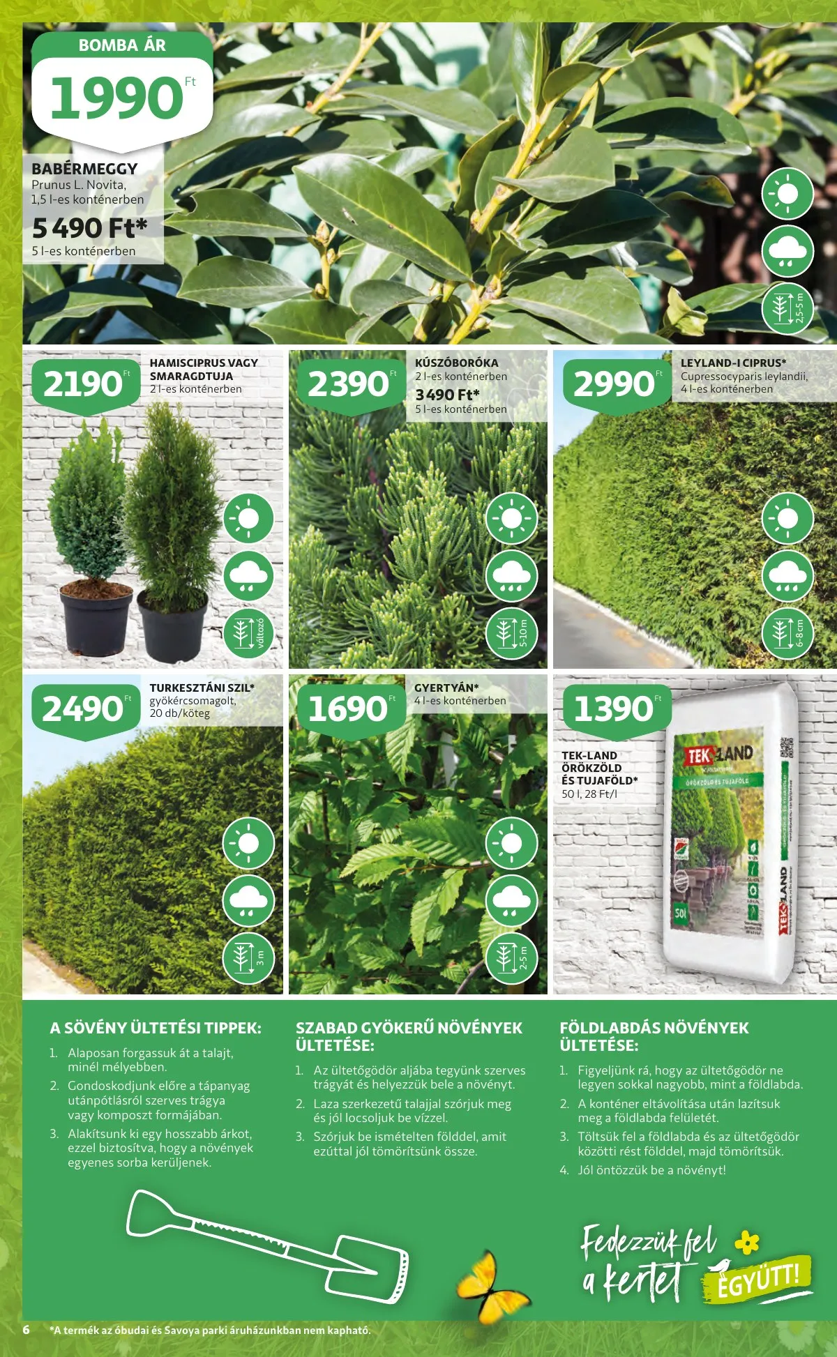 Auchan akciós újság Kert katalógus 03.10–03.23 – 6. oldal