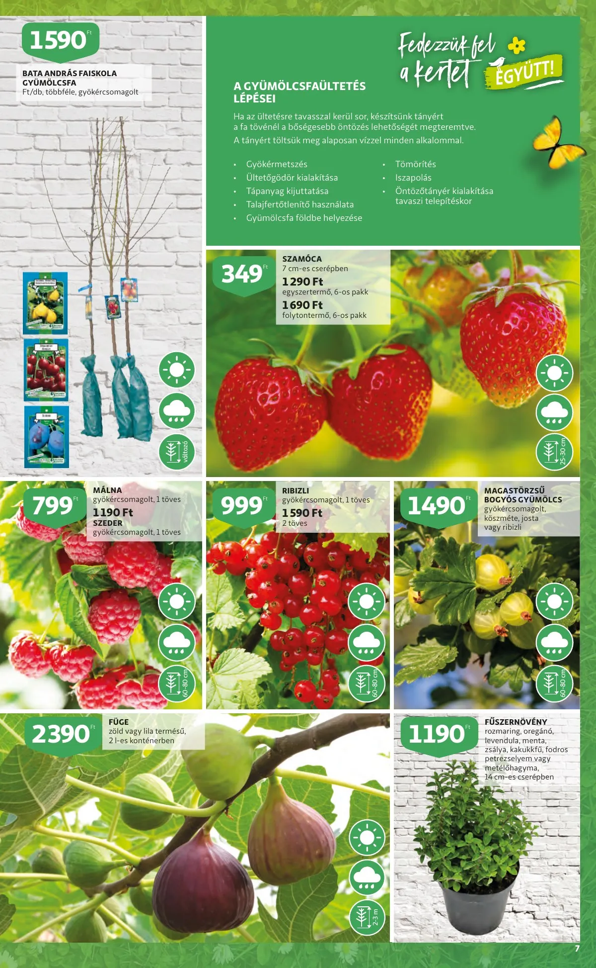 Auchan akciós újság Kert katalógus 03.10–03.23 – 7. oldal