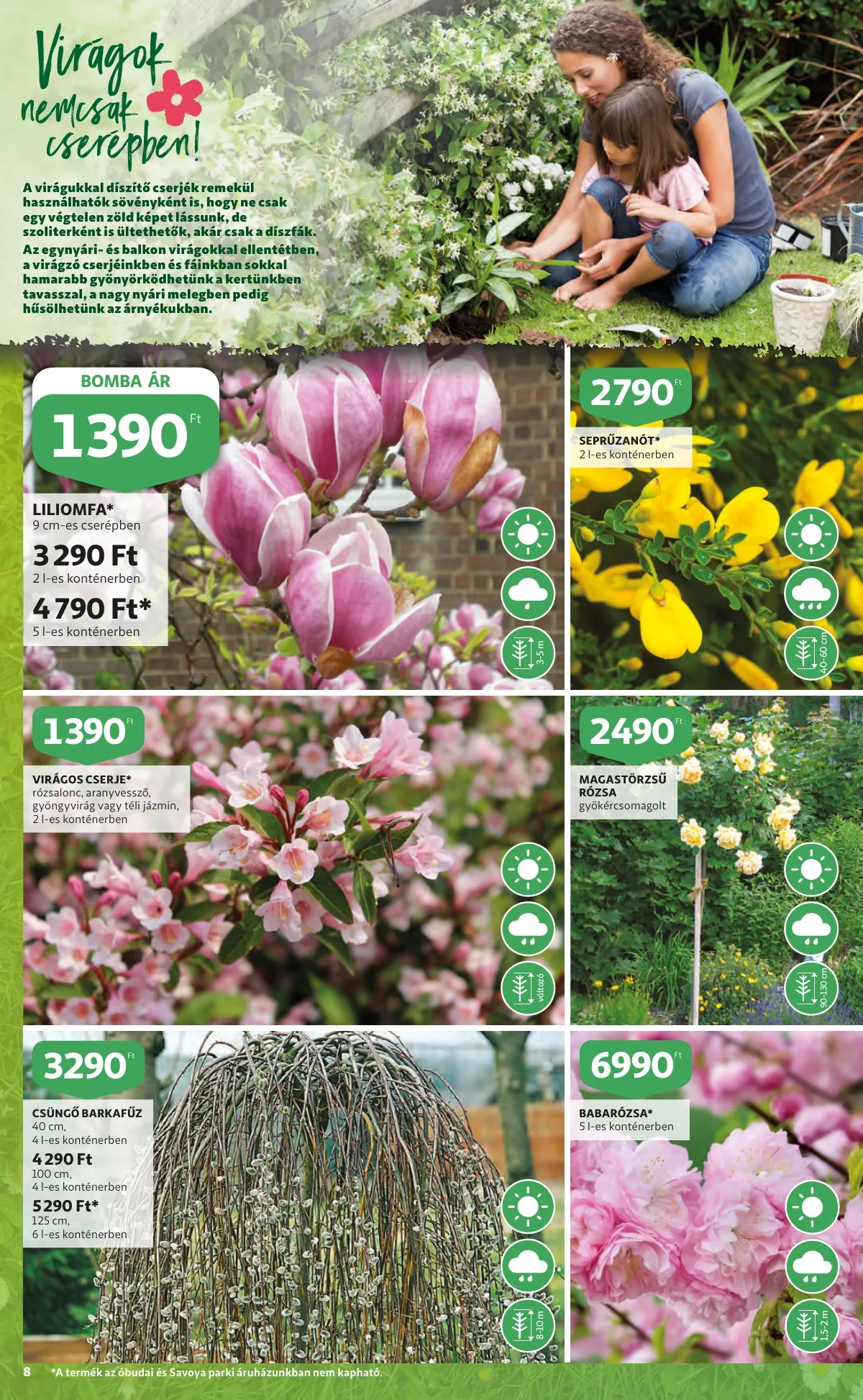 Auchan akciós újság Kert katalógus 03.10–03.23 – 8. oldal