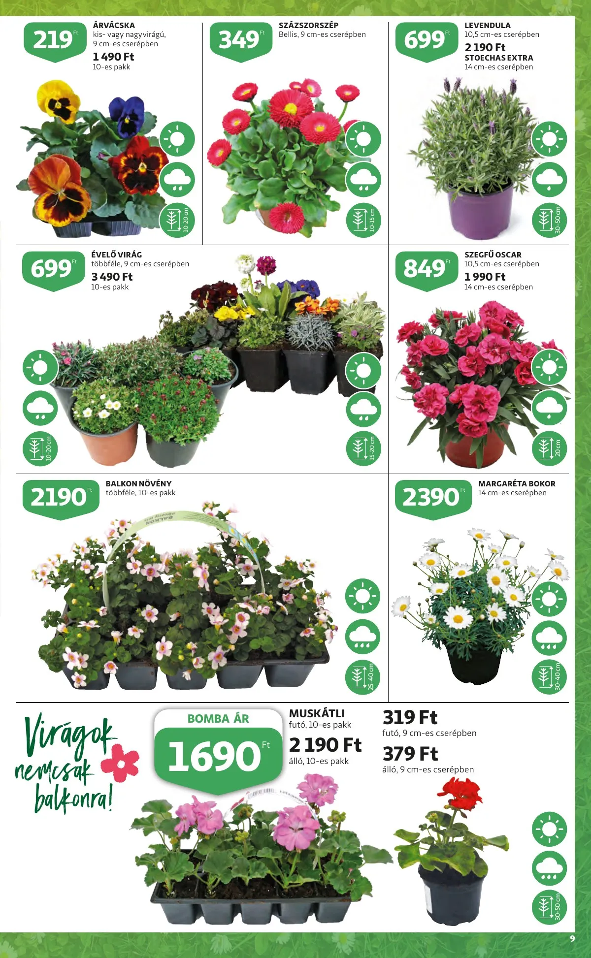 Auchan akciós újság Kert katalógus 03.10–03.23 – 9. oldal