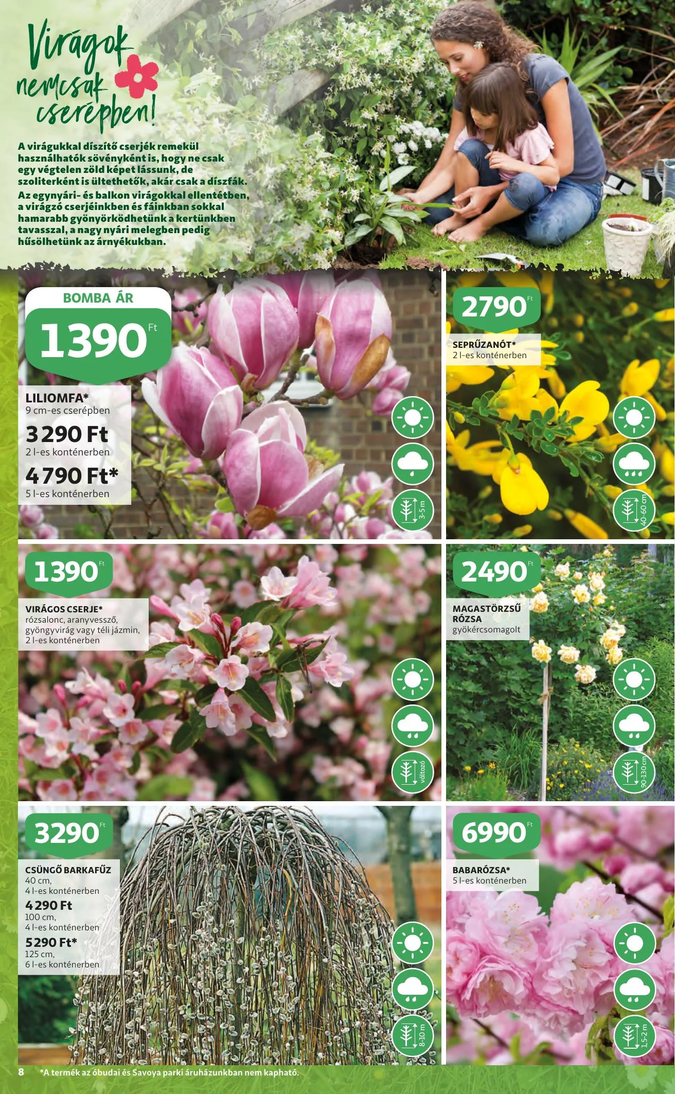 Auchan akciós újság Kert 03.10–03.23 – 8. oldal