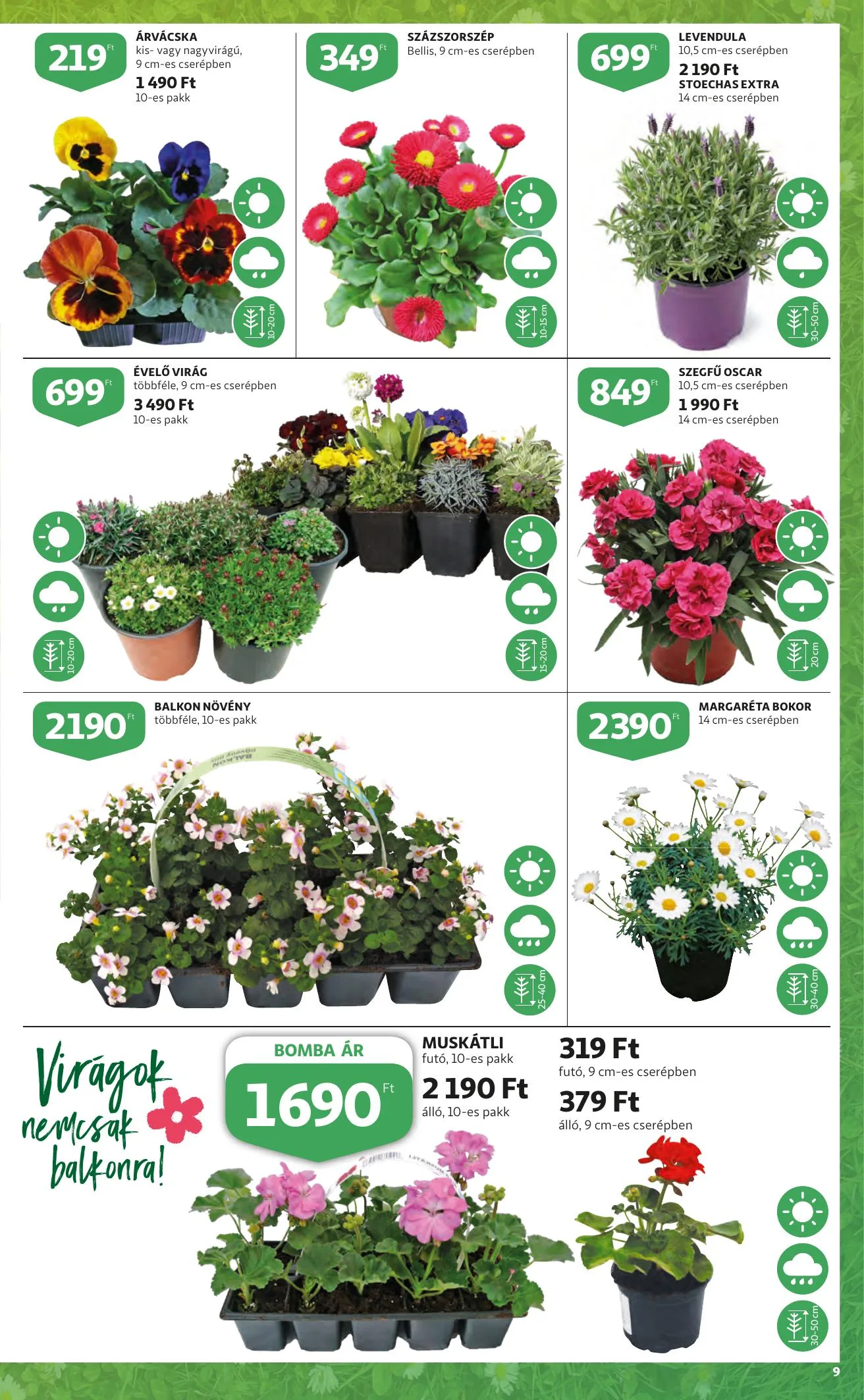Auchan akciós újság Kert 03.10–03.23 – 9. oldal