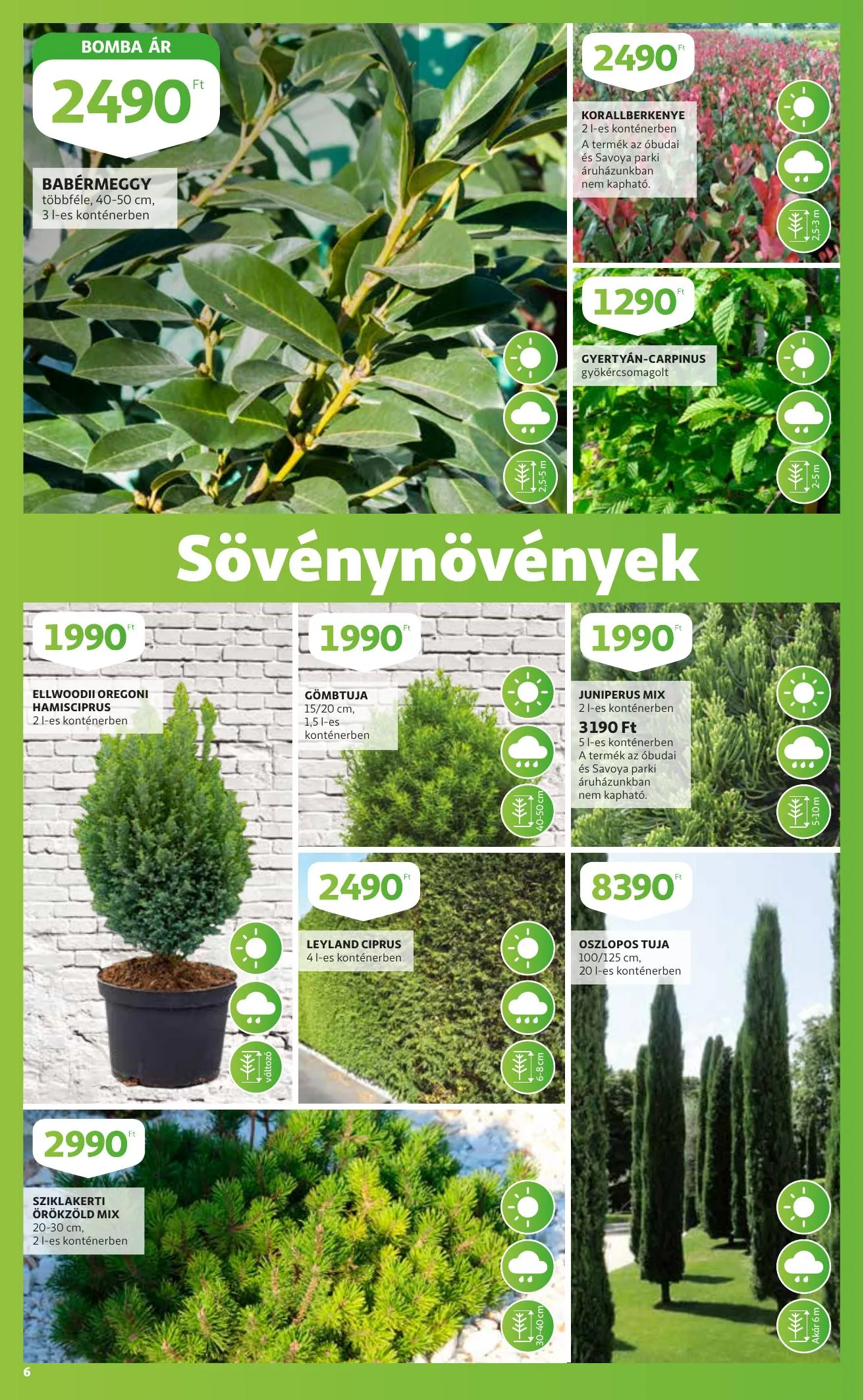 Auchan akciós újság Kerteszet katalógus 03.11–04.03 – 6. oldal