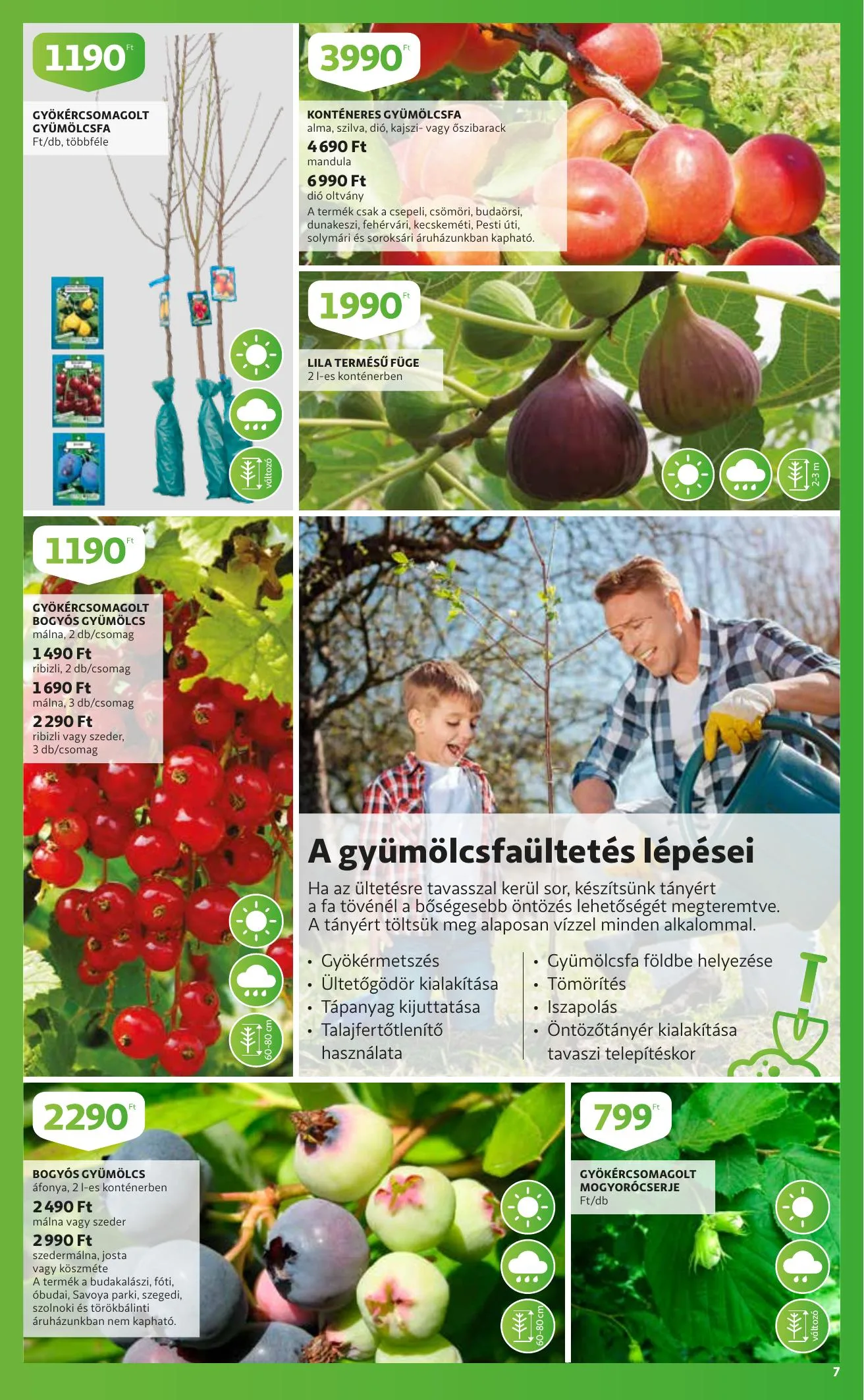 Auchan akciós újság Kerteszet katalógus 03.11–04.03 – 7. oldal