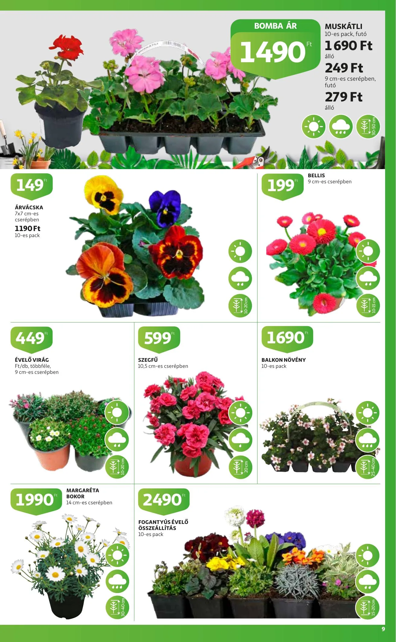 Auchan akciós újság Kerteszet katalógus 03.11–04.03 – 9. oldal