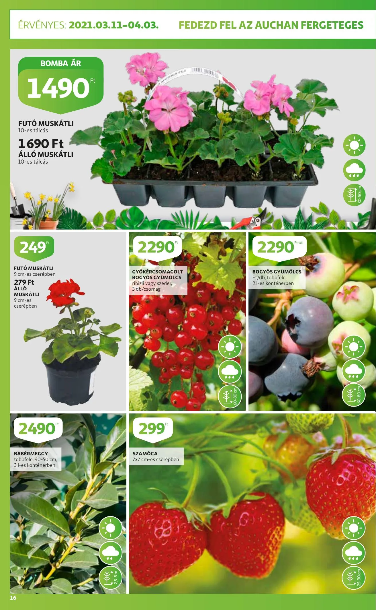 Auchan akciós újság Szupermarket Husveti katalógus 03.11–04.03 – 16. oldal