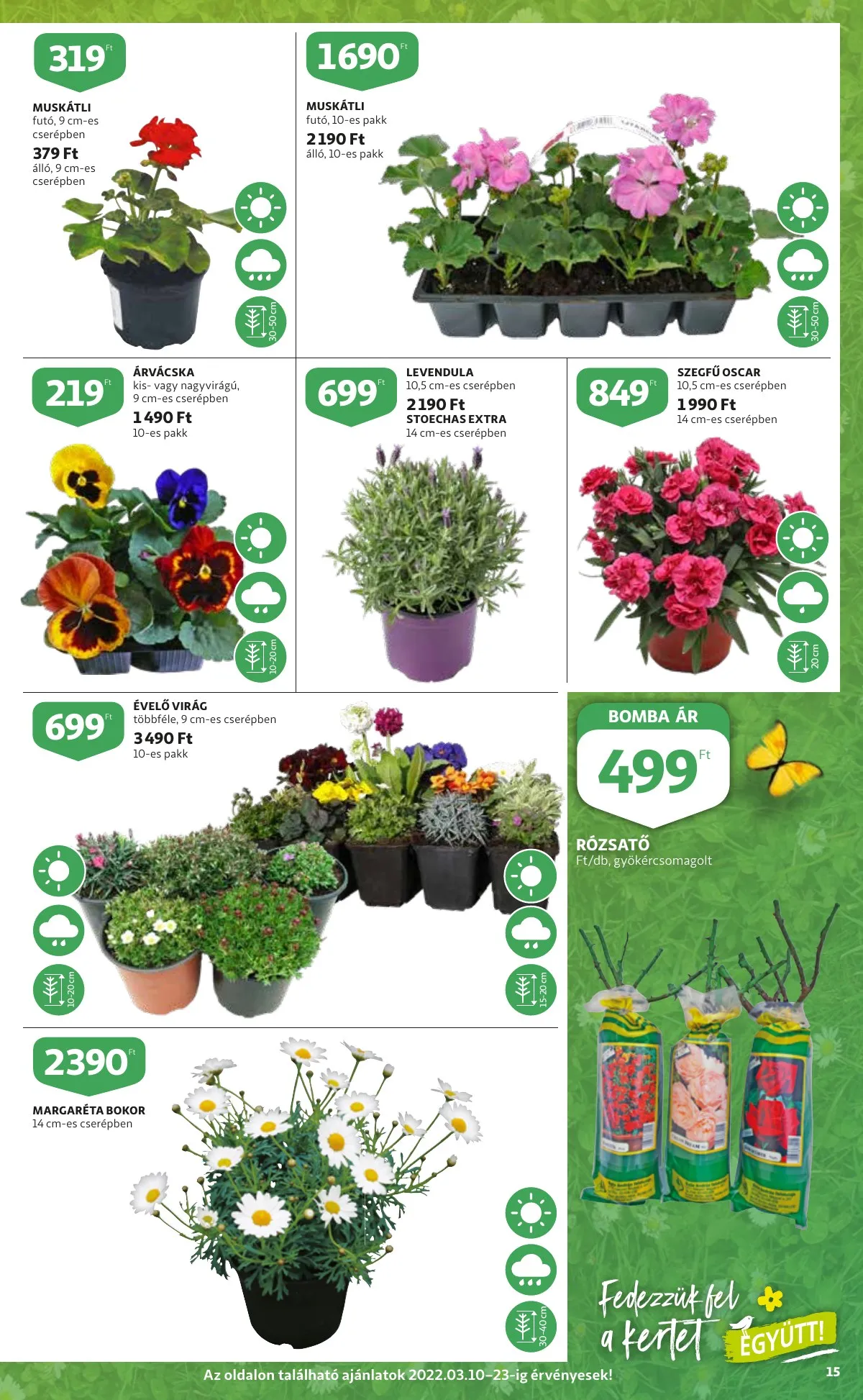 Auchan akciós újság Szupermarket 03.10–03.16 – 15. oldal