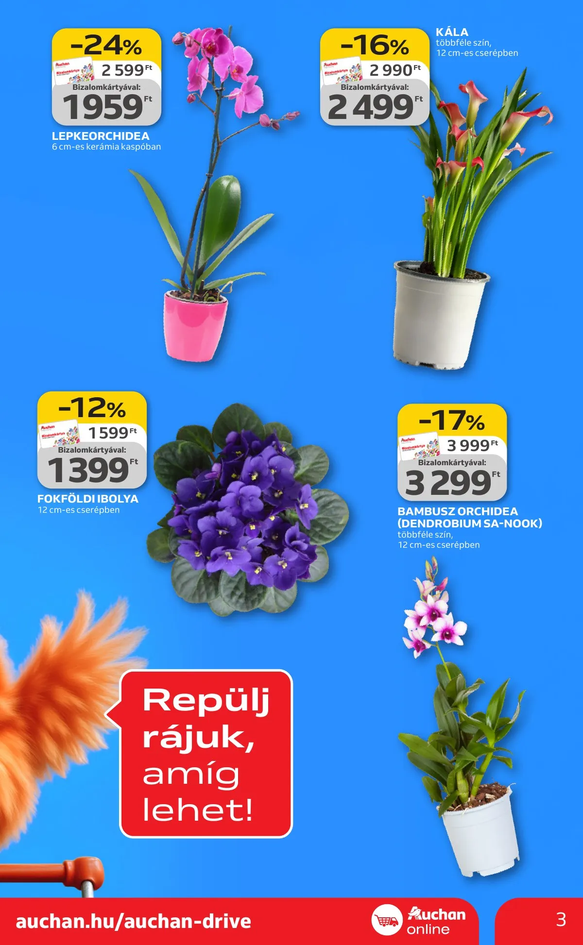 Auchan akciós újság Szupermarket 02.05–02.11 – 3. oldal