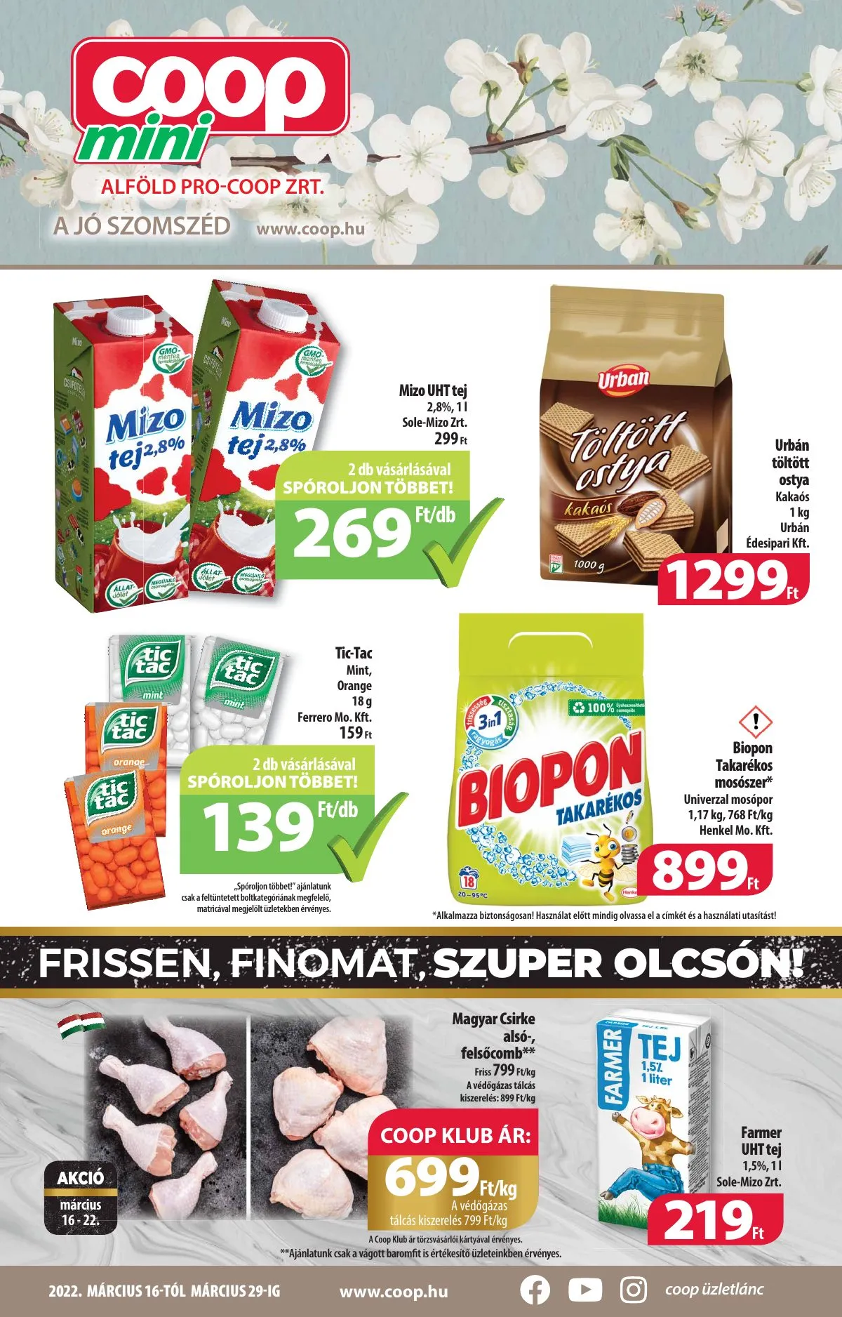 Coop akciós újság Alföld mini 03.16–03.29