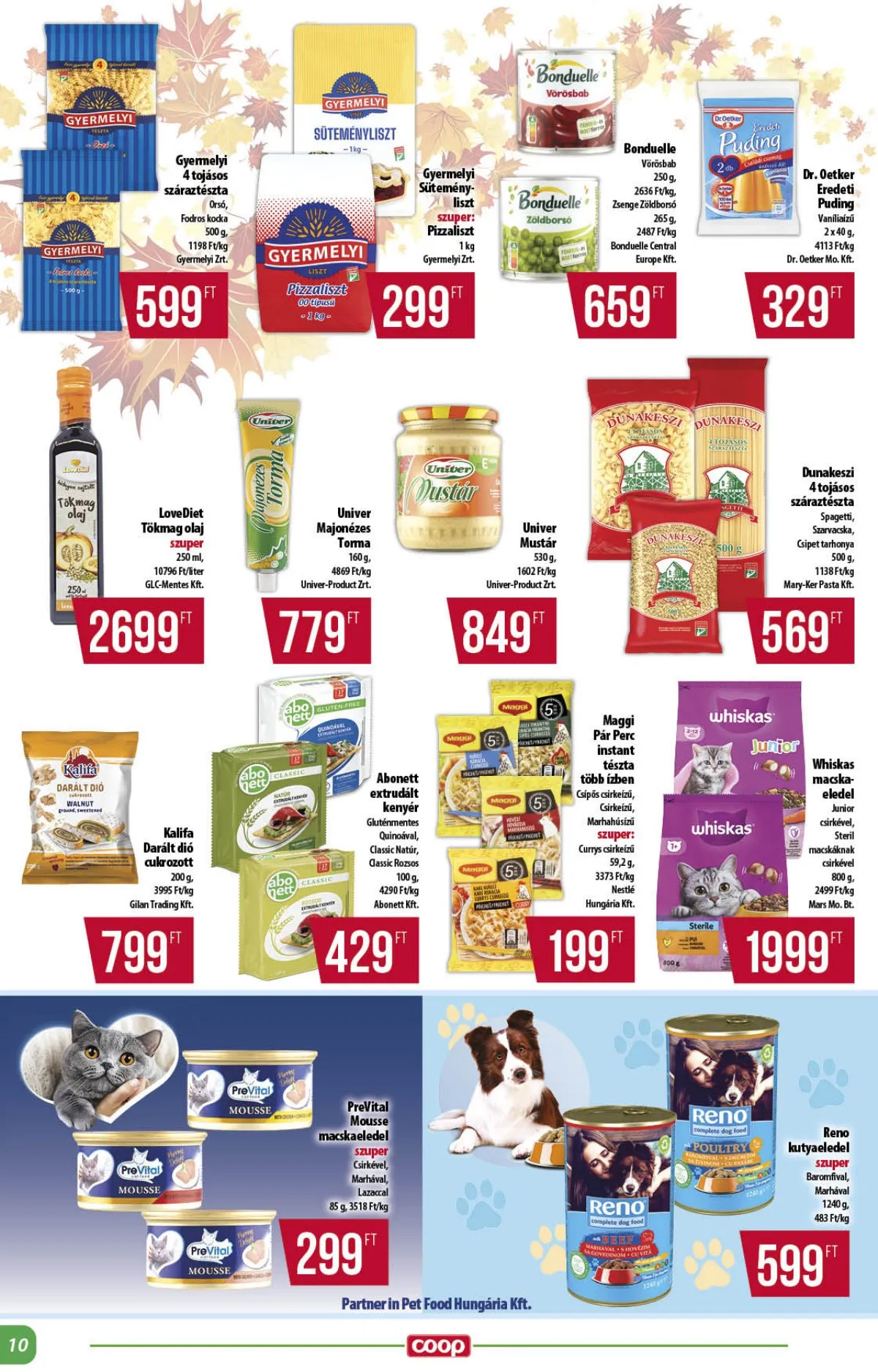 Coop akciós újság Alföld 11.13–11.19 – 10. oldal