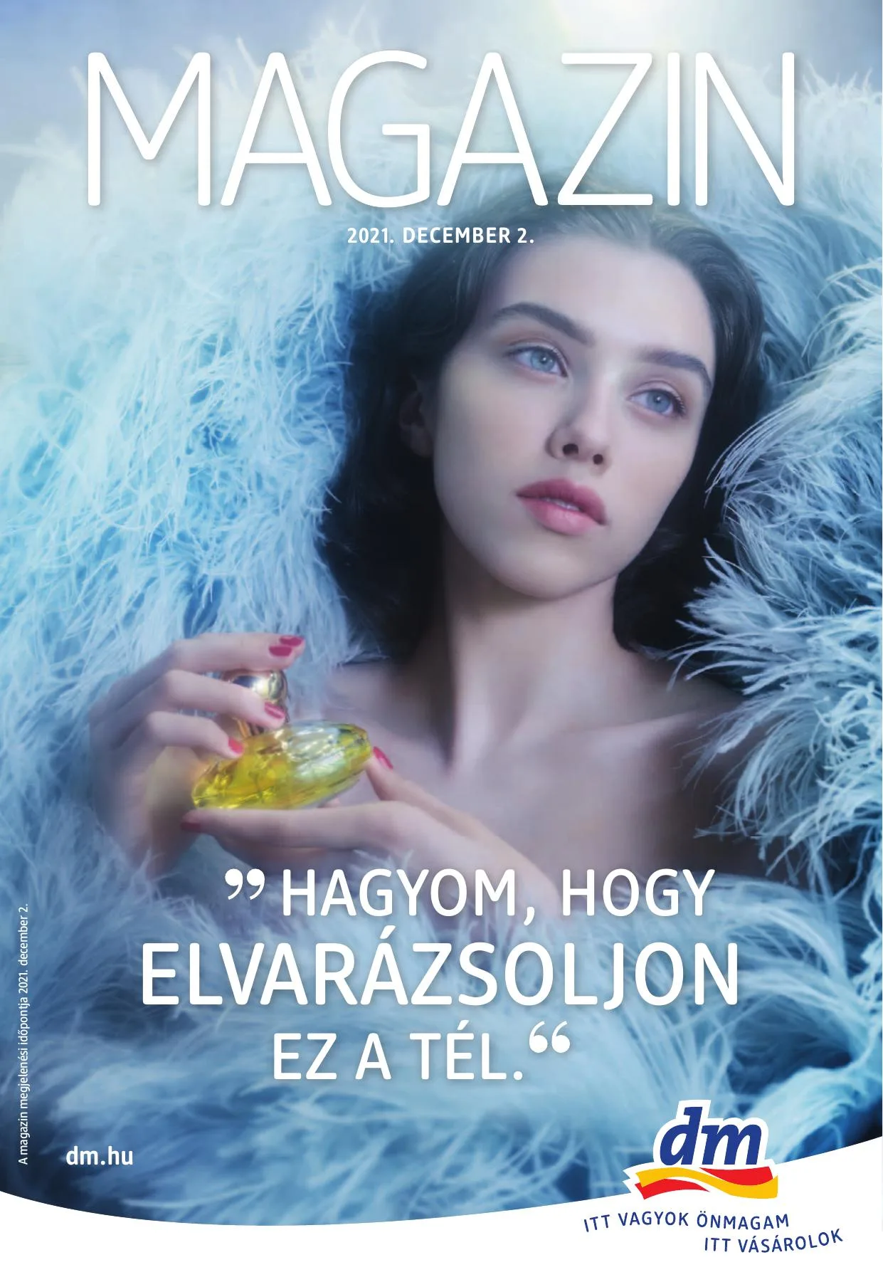 dm akciós újság 12.02–12.31