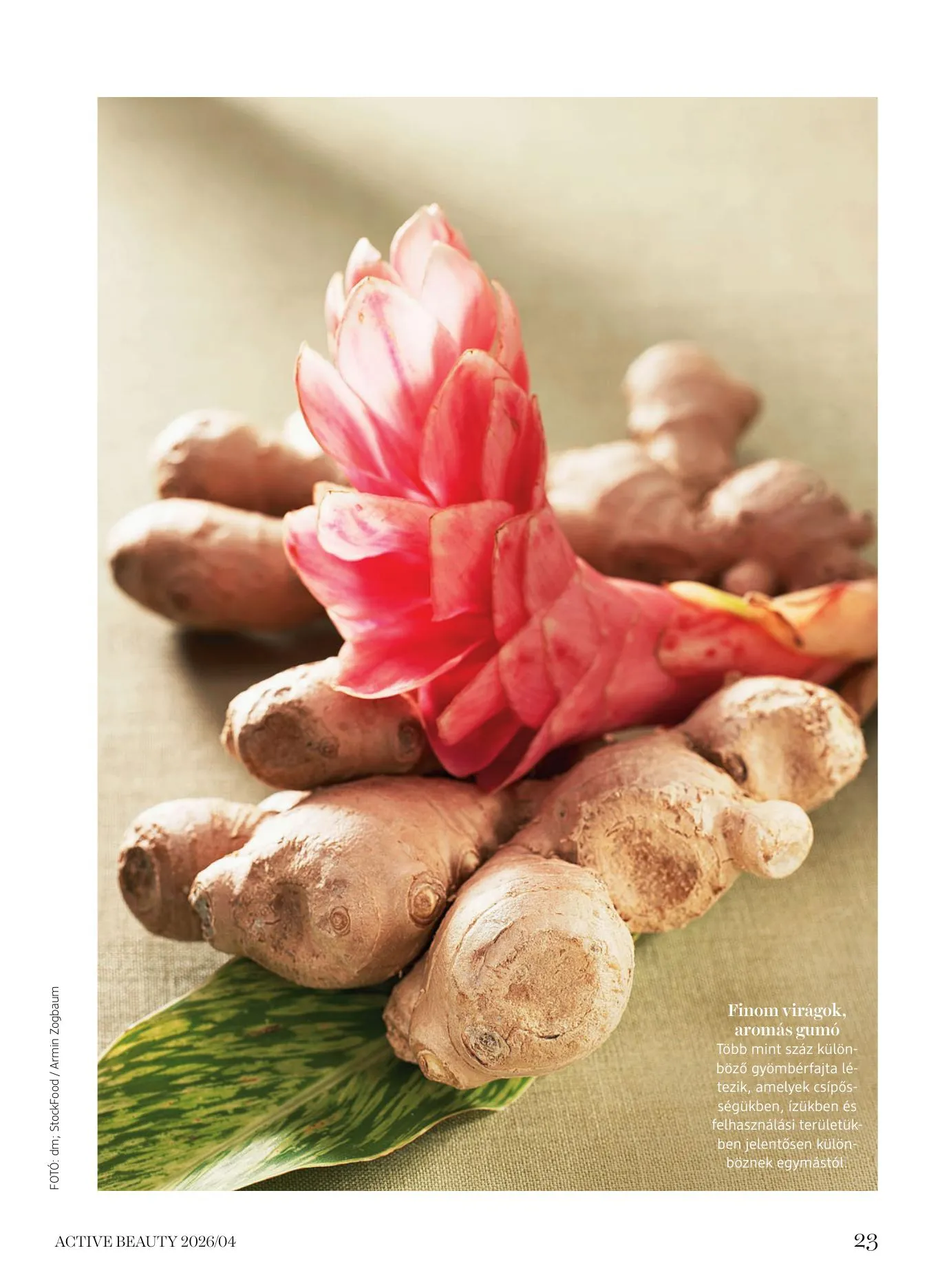 dm akciós újság Drogéria Active Beauty 04.14–04.26 – 23. oldal