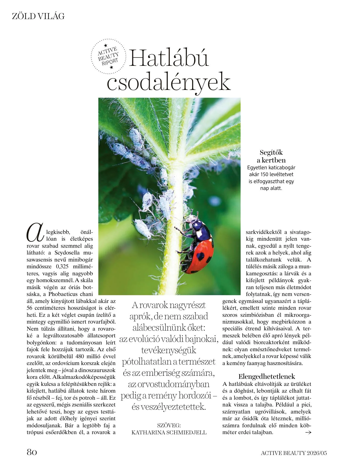 dm akciós újság Drogéria Active Beauty 05.21–05.21 – 80. oldal