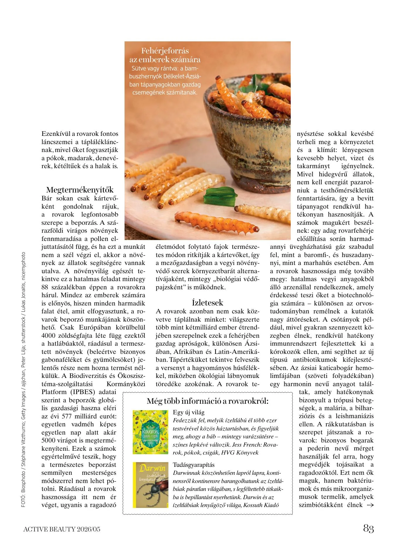 dm akciós újság Drogéria Active Beauty 05.21–05.21 – 83. oldal