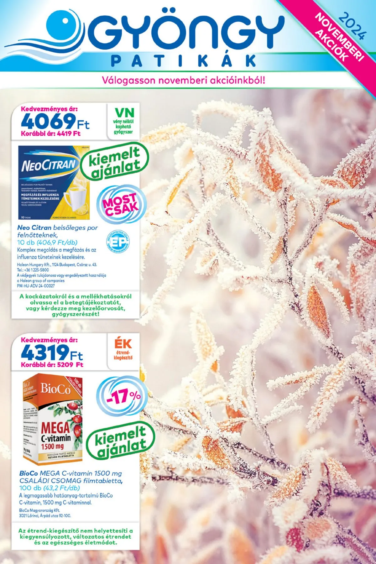 Gyongy akciós újság Patikak 11.01–11.30