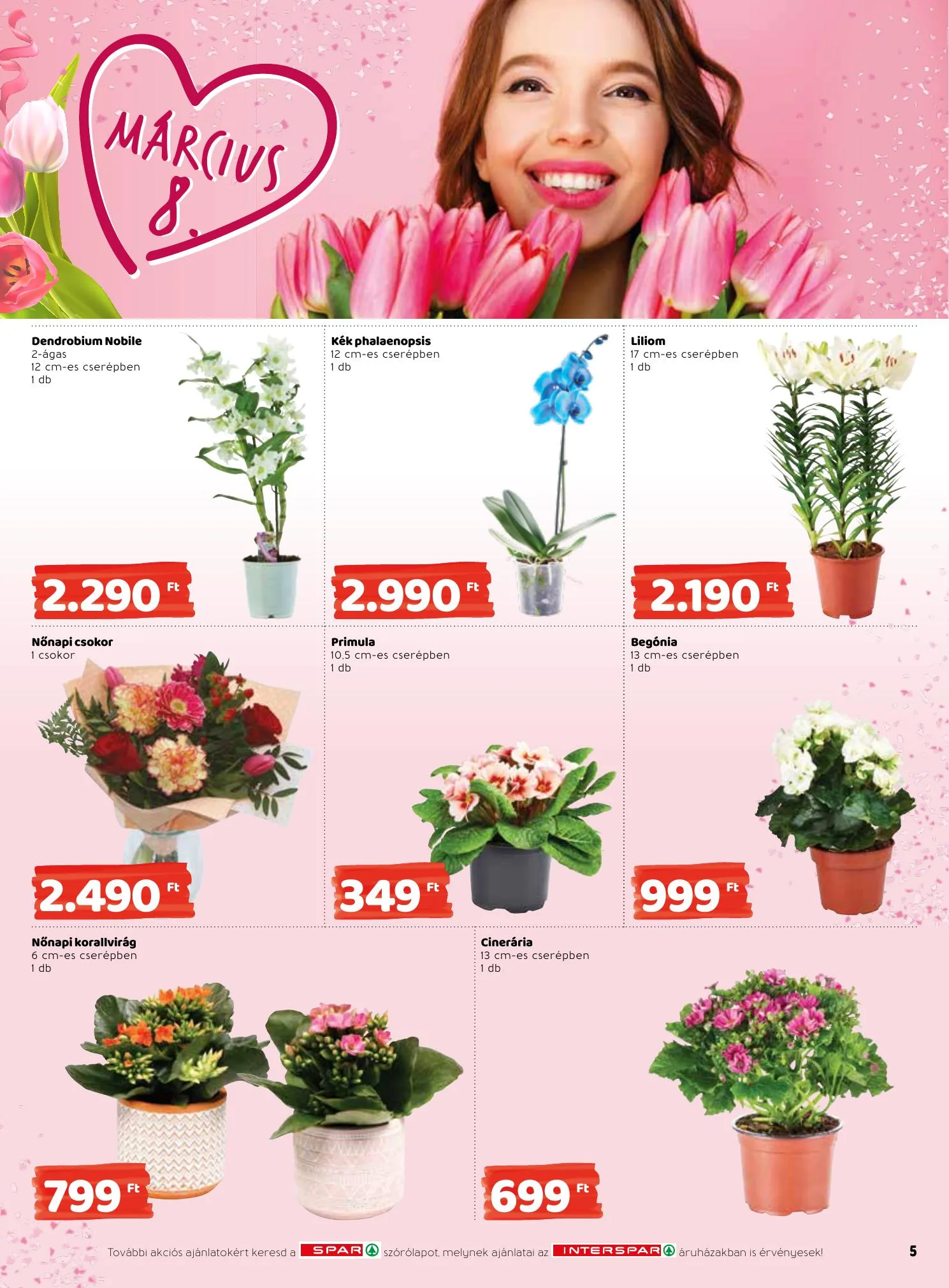Interspar akciós újság 03.04–03.10 – 5. oldal