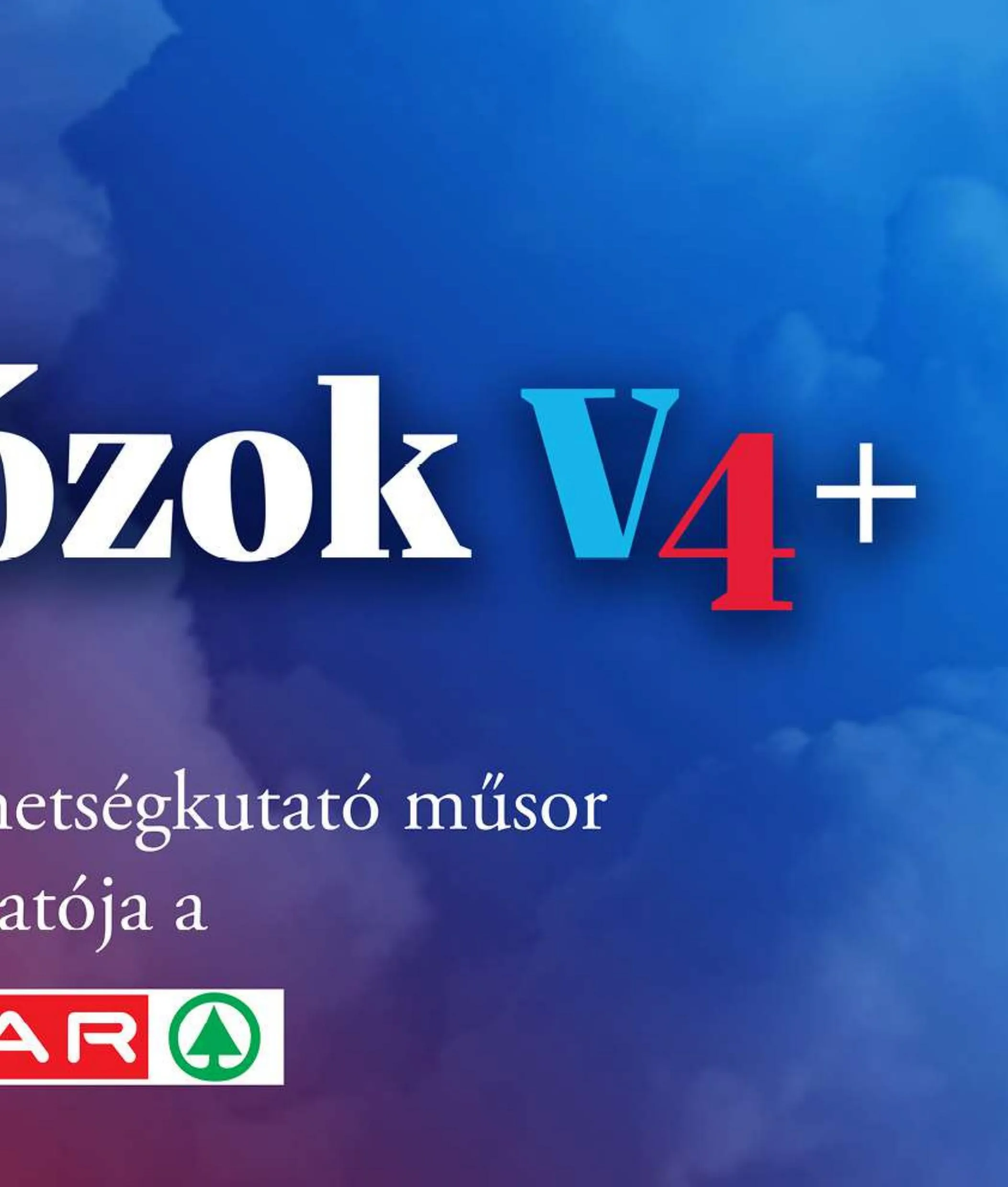 Interspar akciós újság 12.02–12.08 – 15. oldal