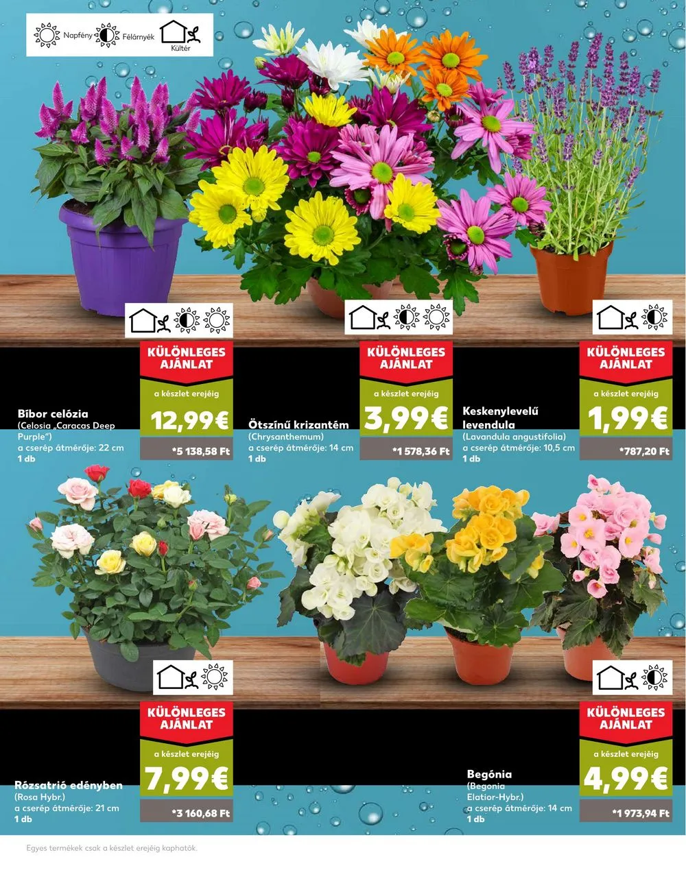 Kaufland akciós újság Losonc Rozsnyo Toketerebes Nagykurtos 08.08–08.14 – 6. oldal