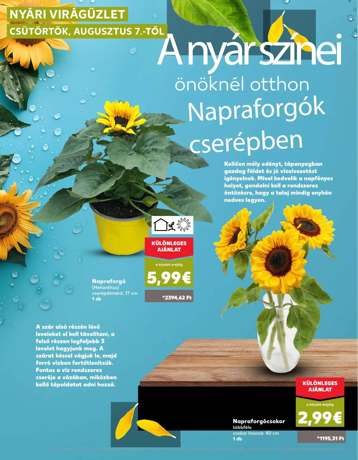 Kaufland akciós újság Pozsony komarom 08.07–08.13 – 39. oldal