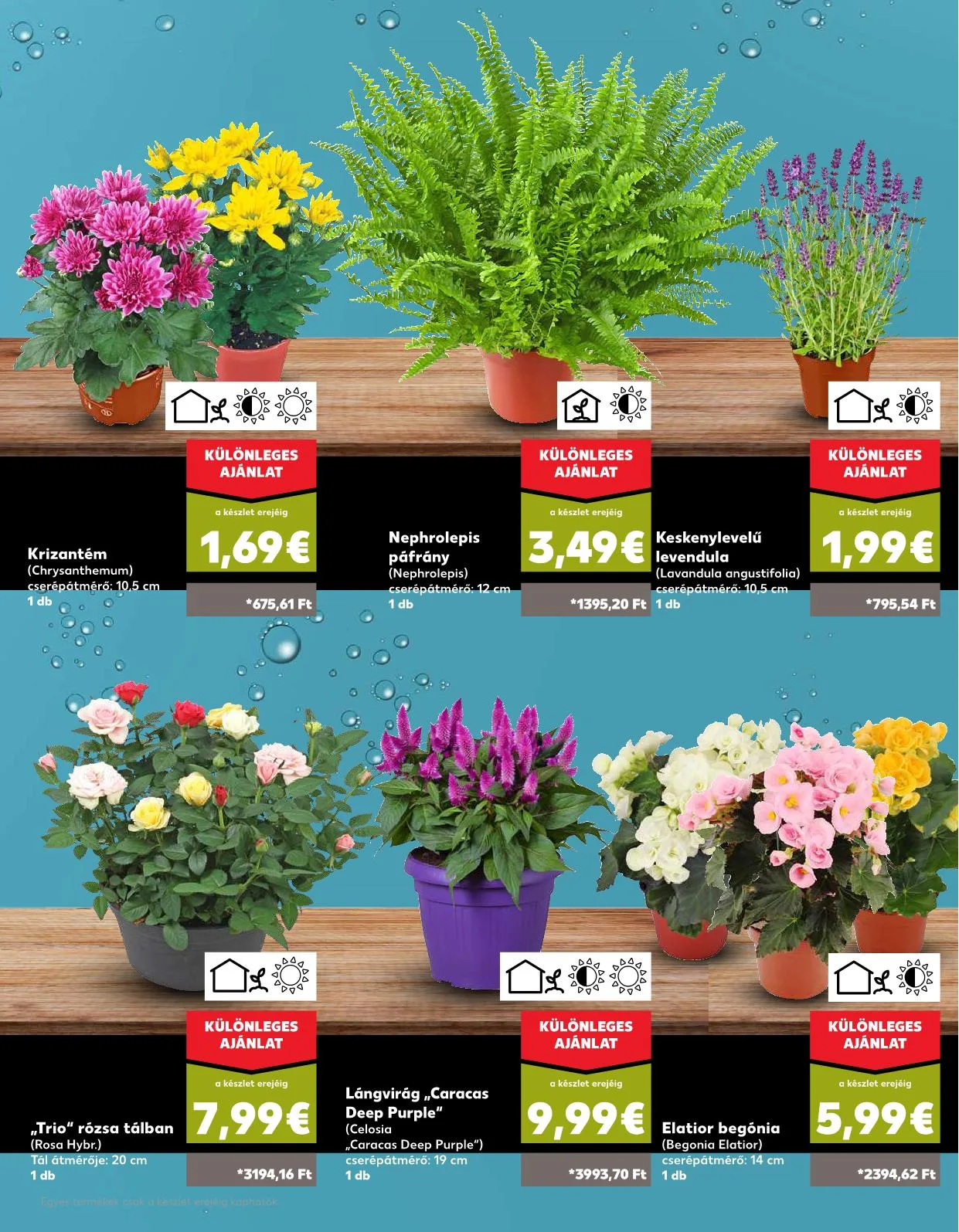 Kaufland akciós újság Pozsony komarom 08.07–08.13 – 40. oldal