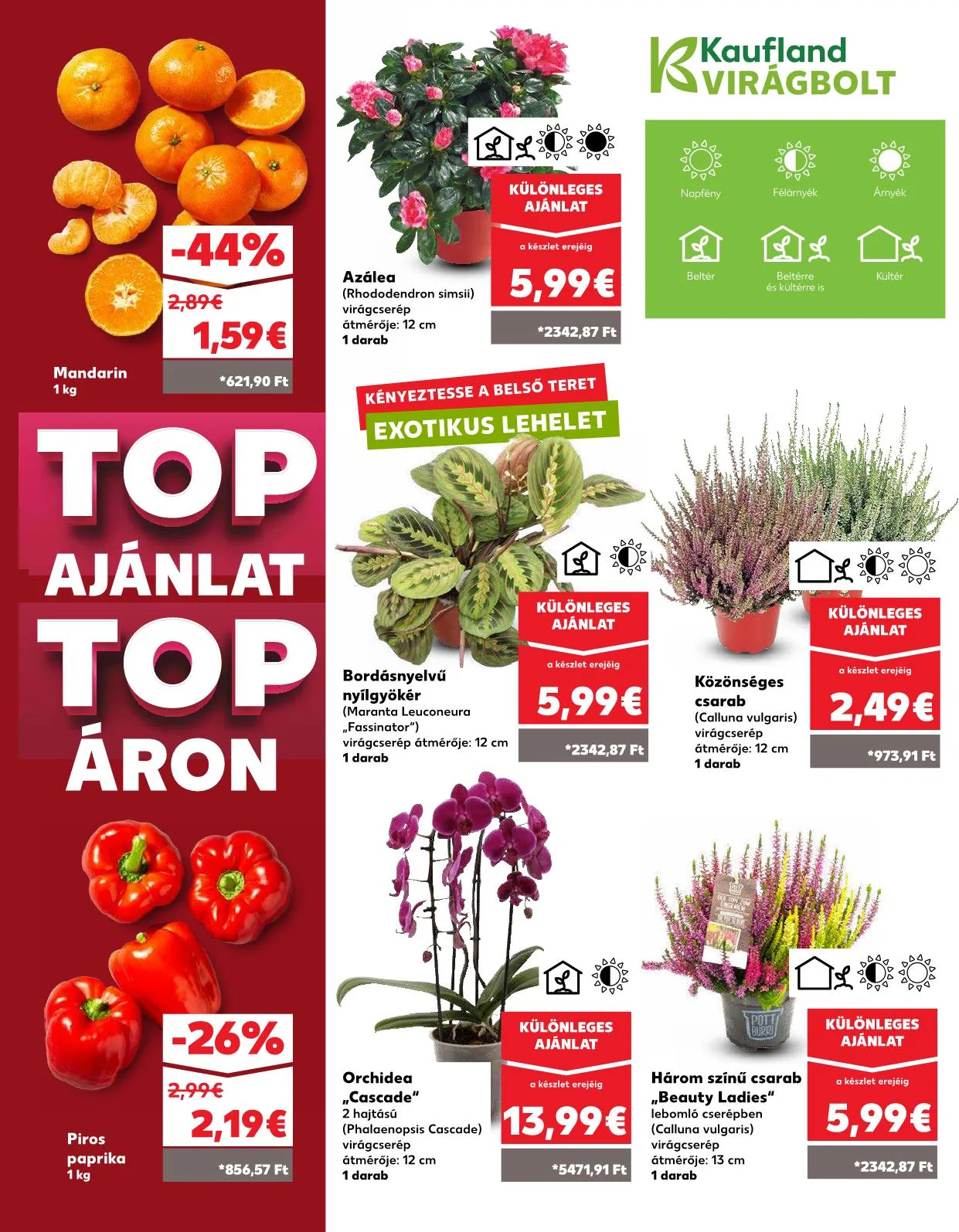 Kaufland akciós újság Pozsony komarom 10.02–10.08 – 38. oldal