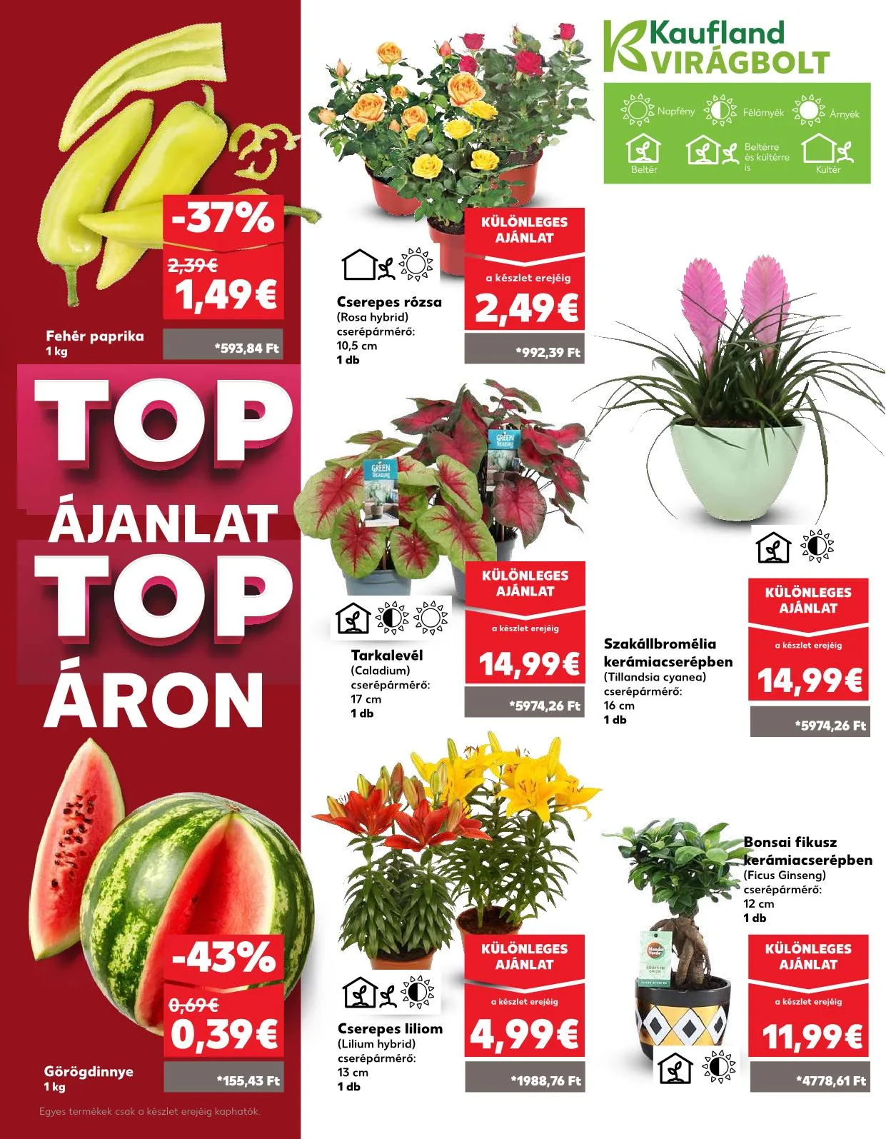 Kaufland akciós újság Somorja 07.28–08.06 – 38. oldal