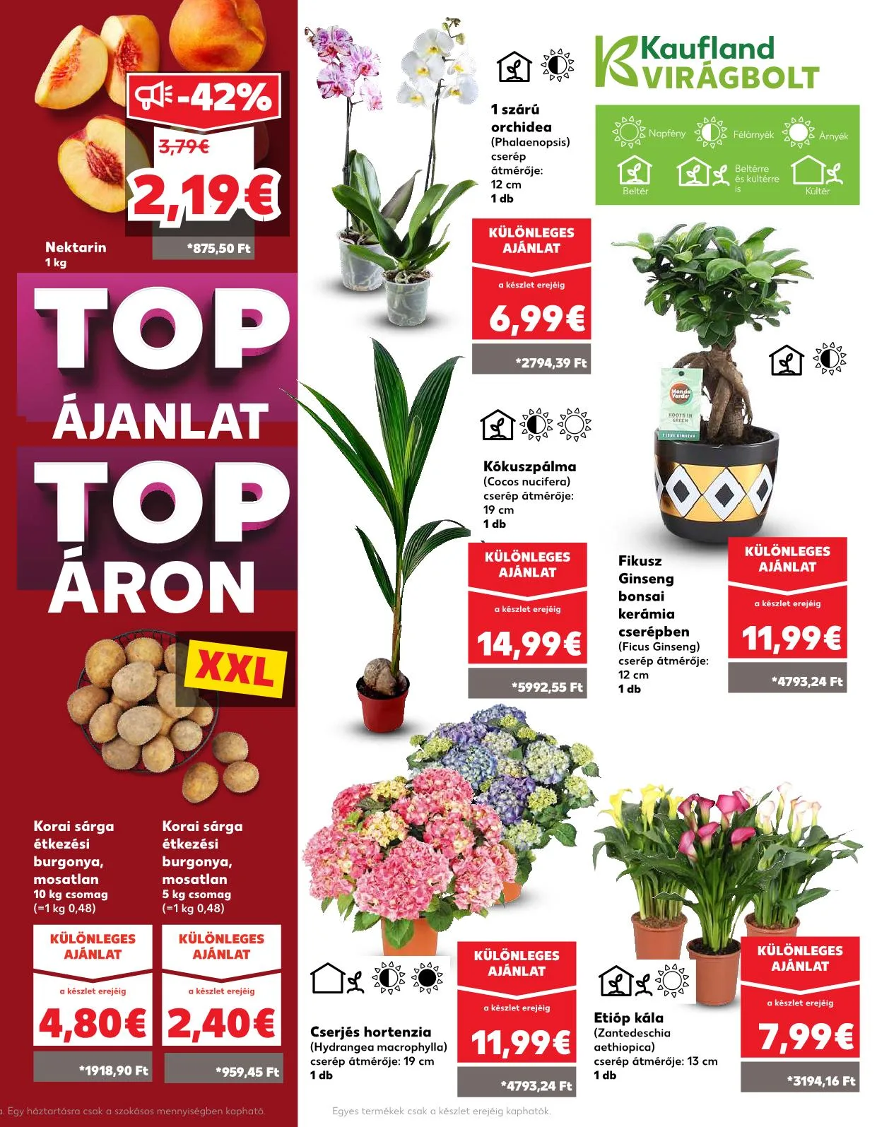 Kaufland akciós újság Somorja 08.07–08.13 – 38. oldal