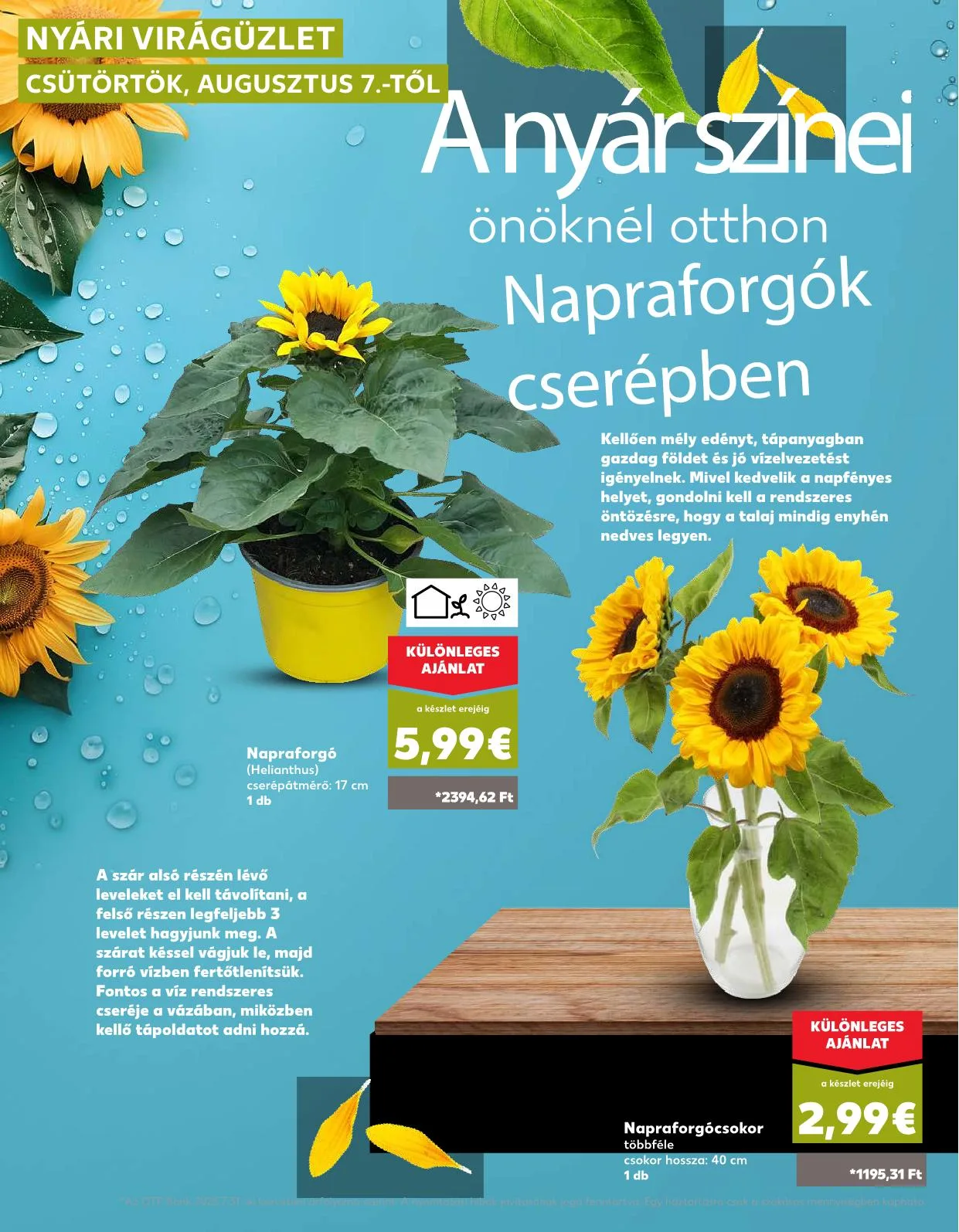 Kaufland akciós újság Somorja 08.07–08.13 – 39. oldal