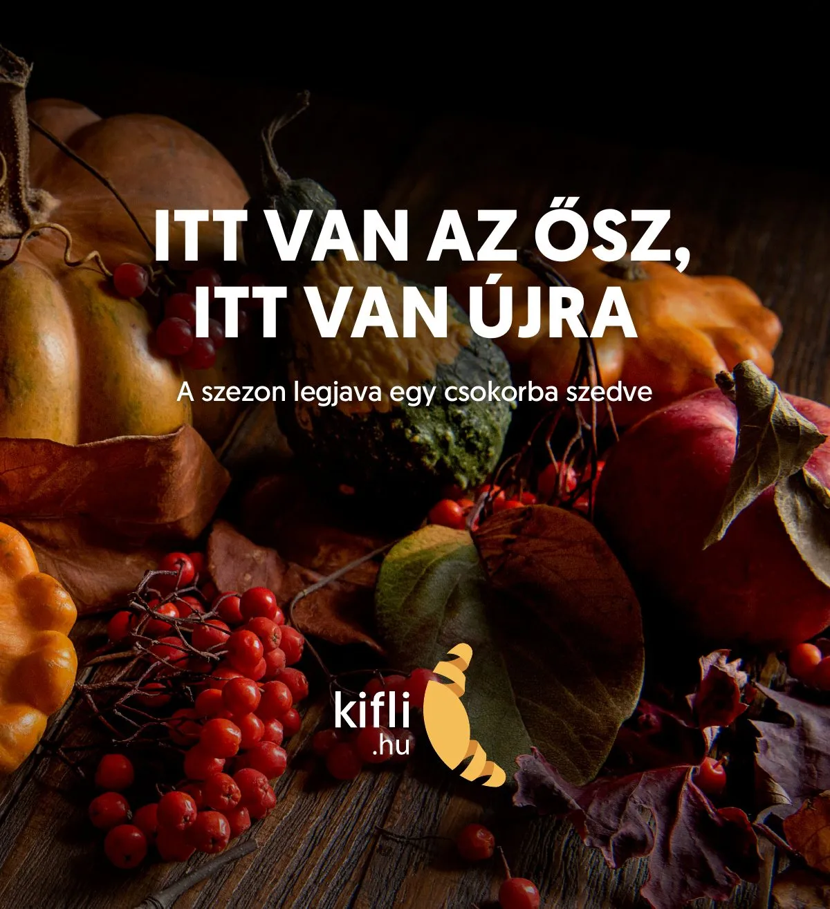Kifli akciós újság 10.28–10.28