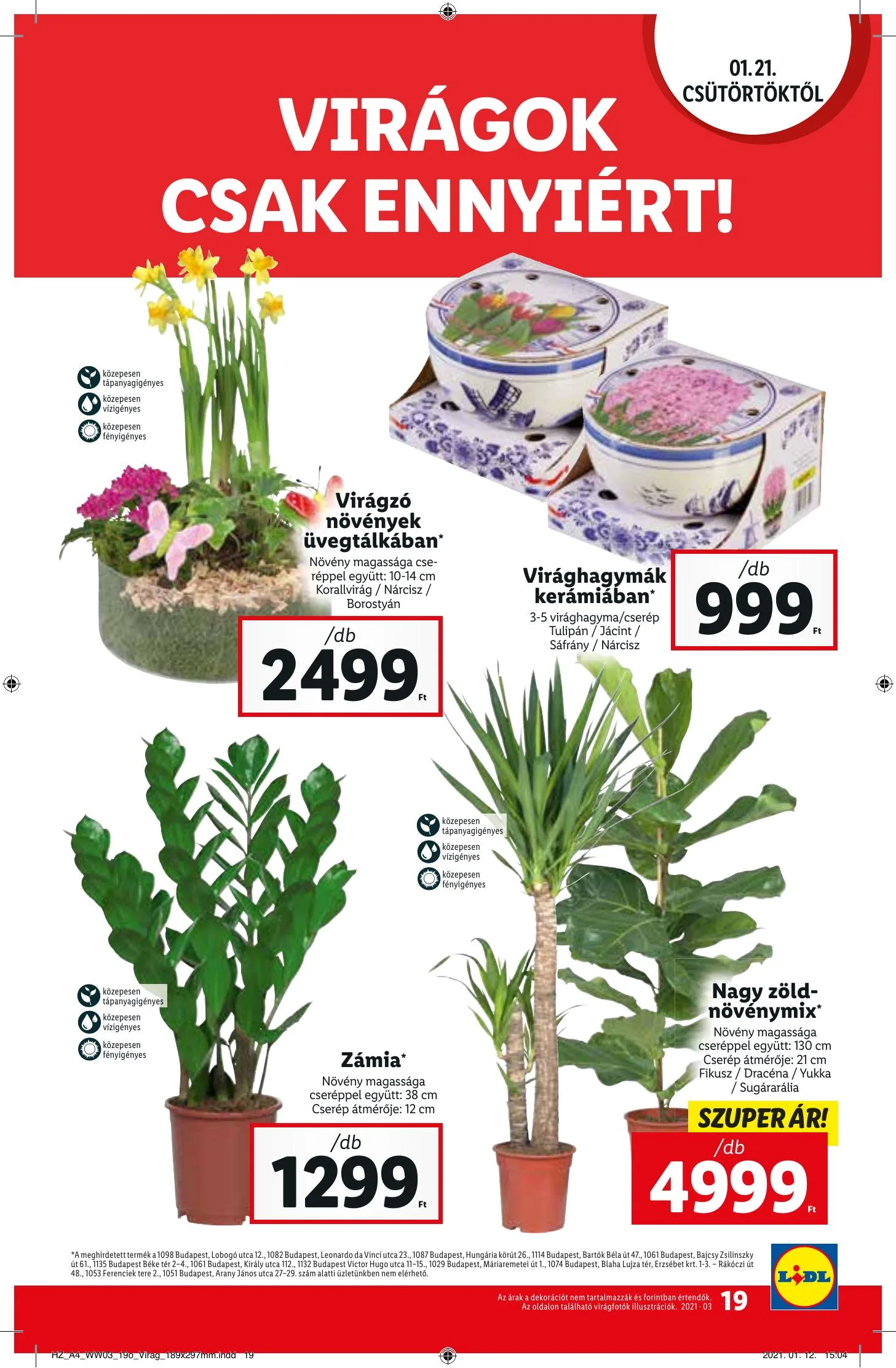 Lidl akciós újság 01.21–01.27 – 19. oldal