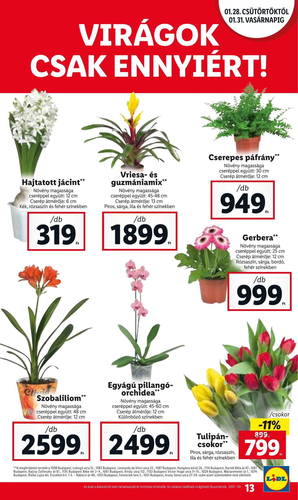 Lidl akciós újság 01.28–02.03 – 13. oldal