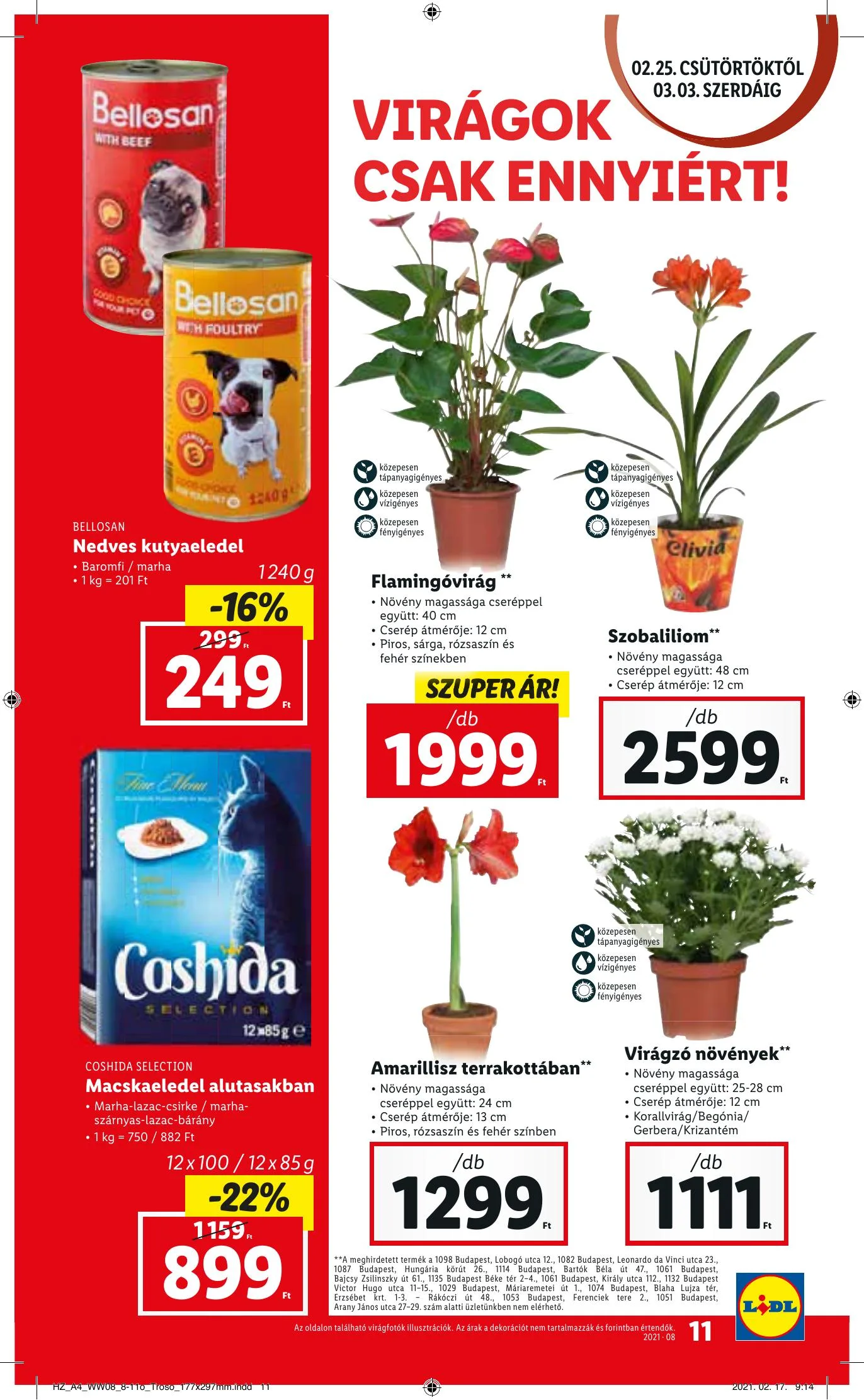 Lidl akciós újság 02.25–03.03 – 11. oldal