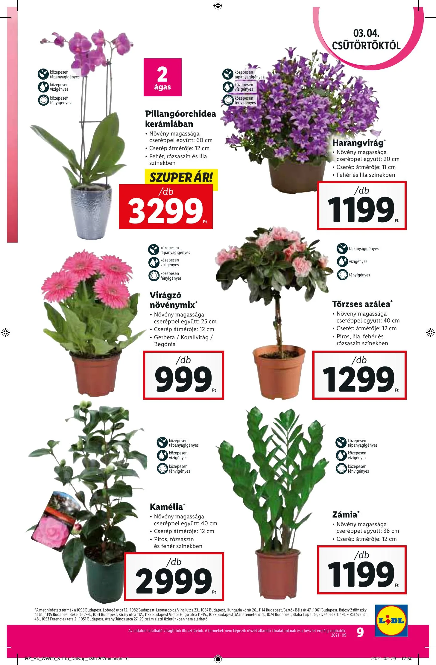 Lidl akciós újság 03.04–03.10 – 9. oldal