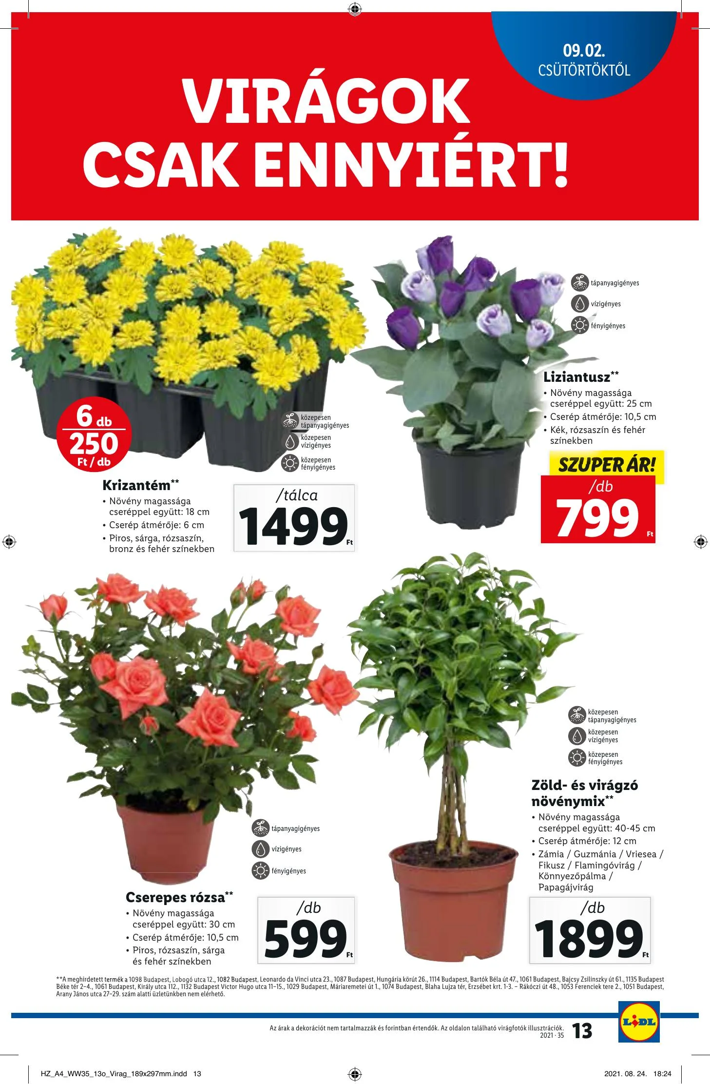 Lidl akciós újság 09.02–09.08 – 13. oldal