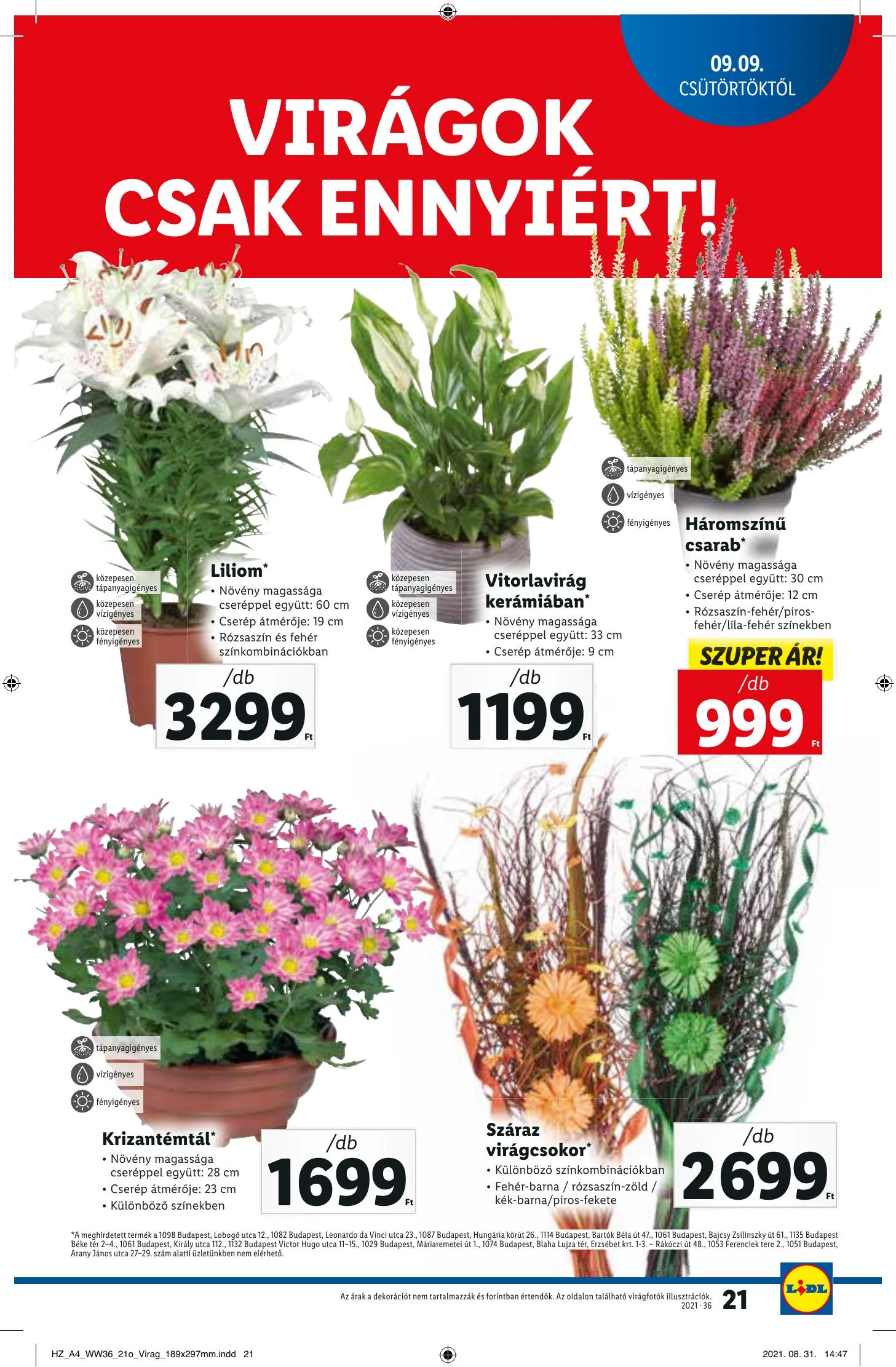 Lidl akciós újság 09.09–09.15 – 21. oldal